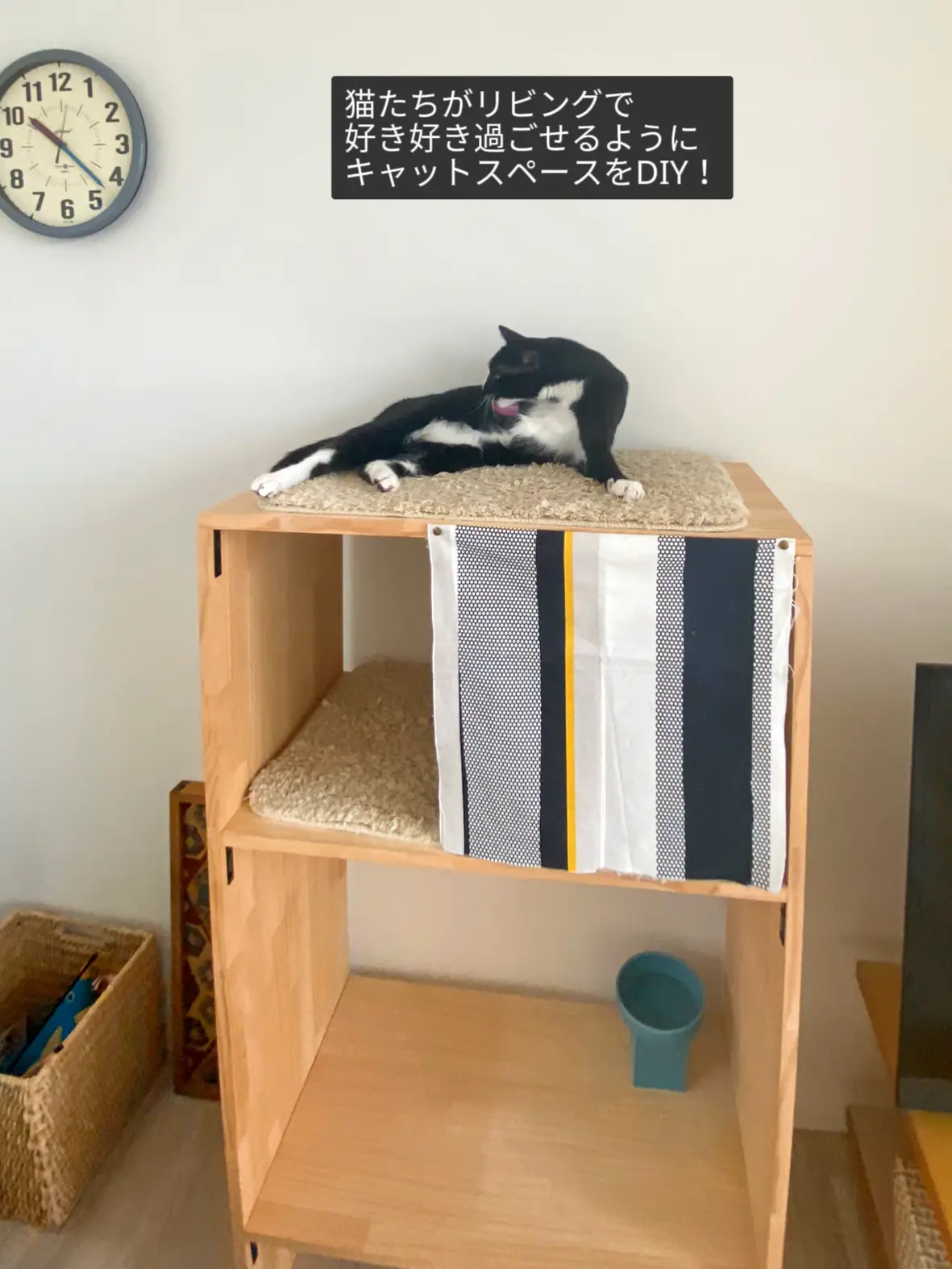キャットスペースDIY！リビングの猫スペース | Sora /猫との住まい
