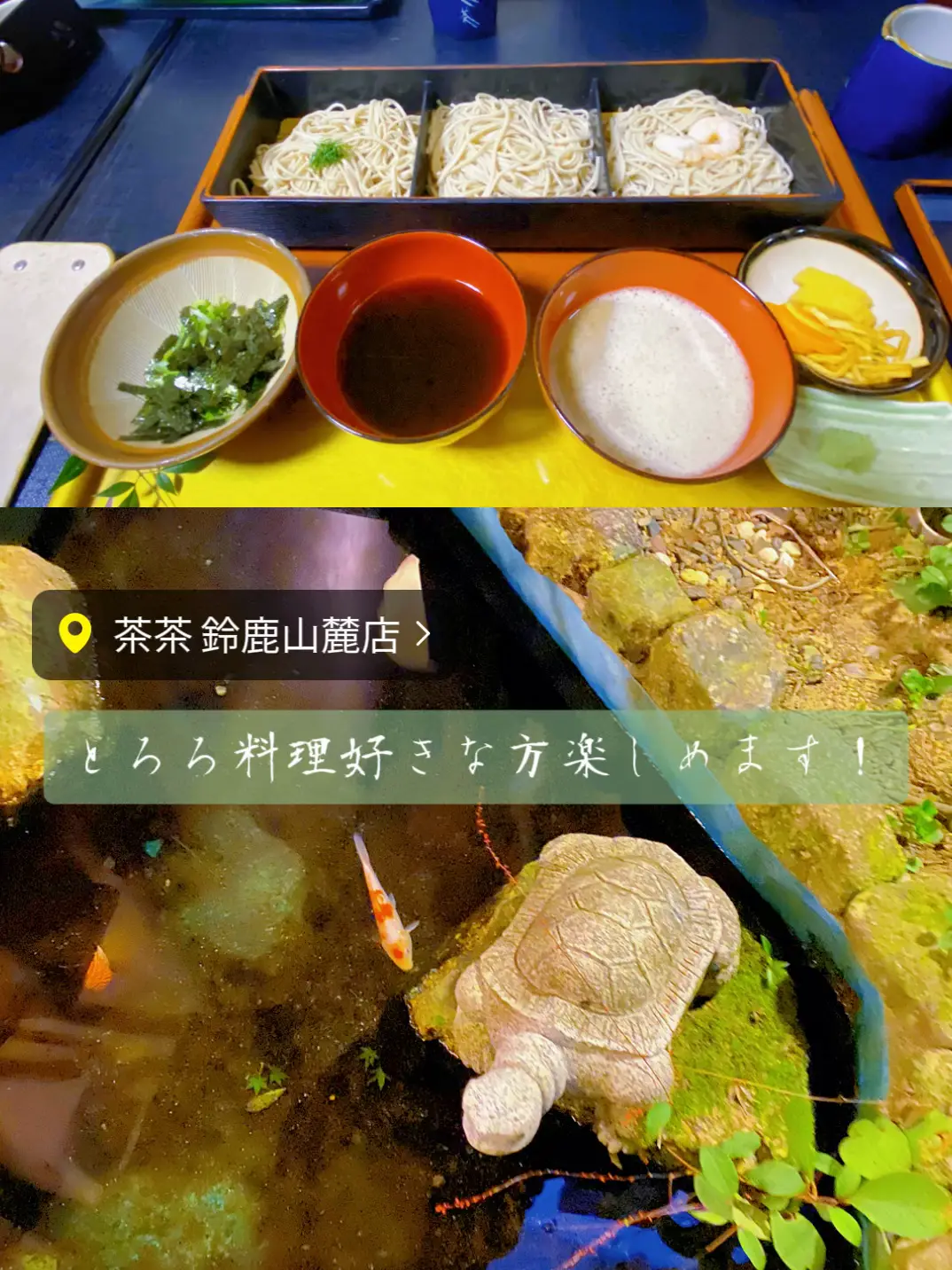 とろろめし 香し 自然薯料理 茶茶 食事券