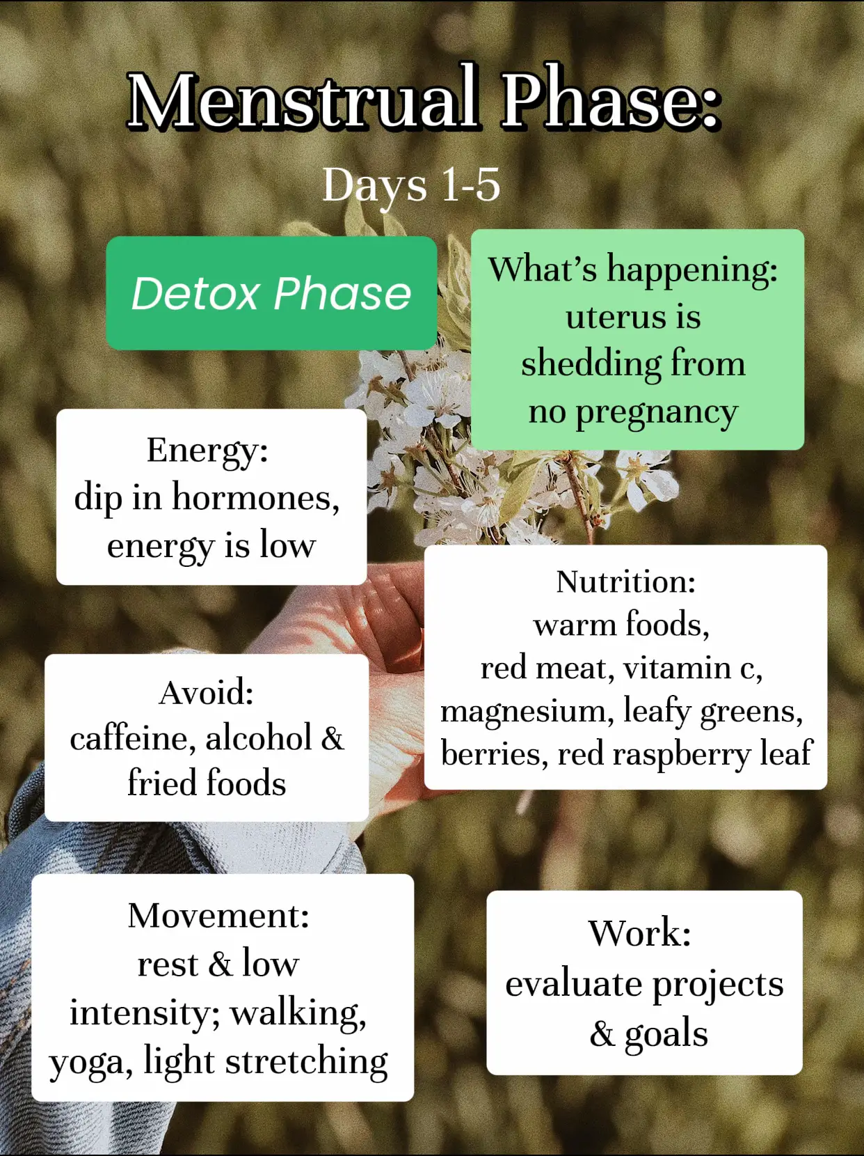 Cycle Syncing Diet: What to Eat in Each Phase of Your Menstrual Cycle -  Coconuts & Kettlebells