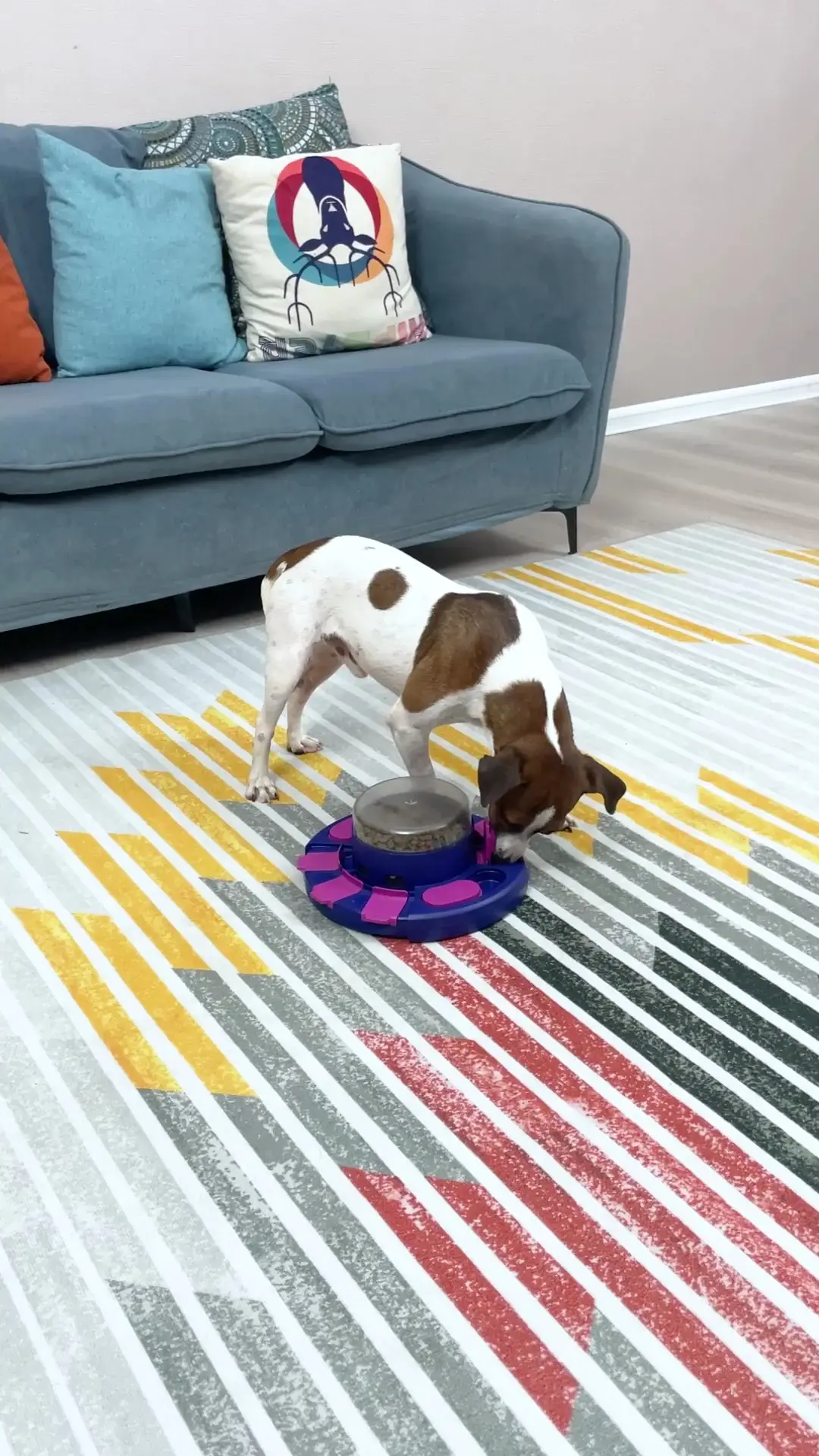 KADTC dog puzzle toys!best toys! K828208, Video published by Amanda