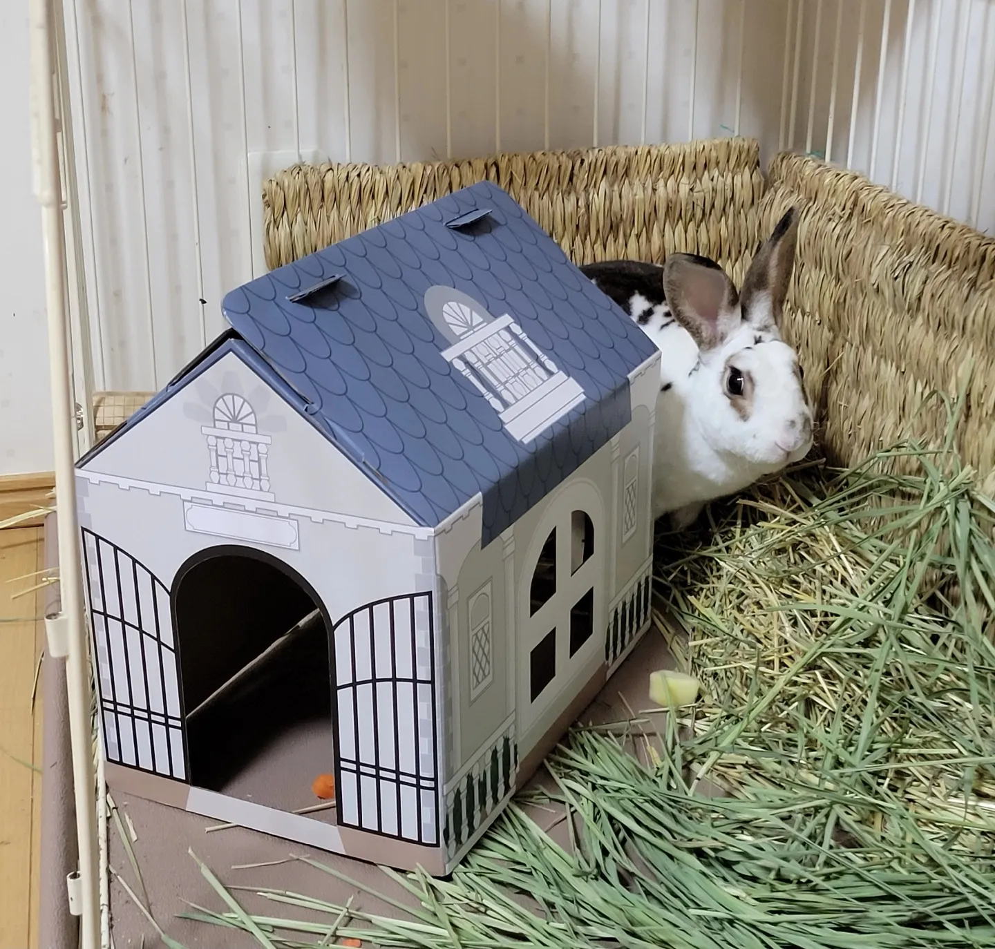 Diy cardboard hotsell rabbit house