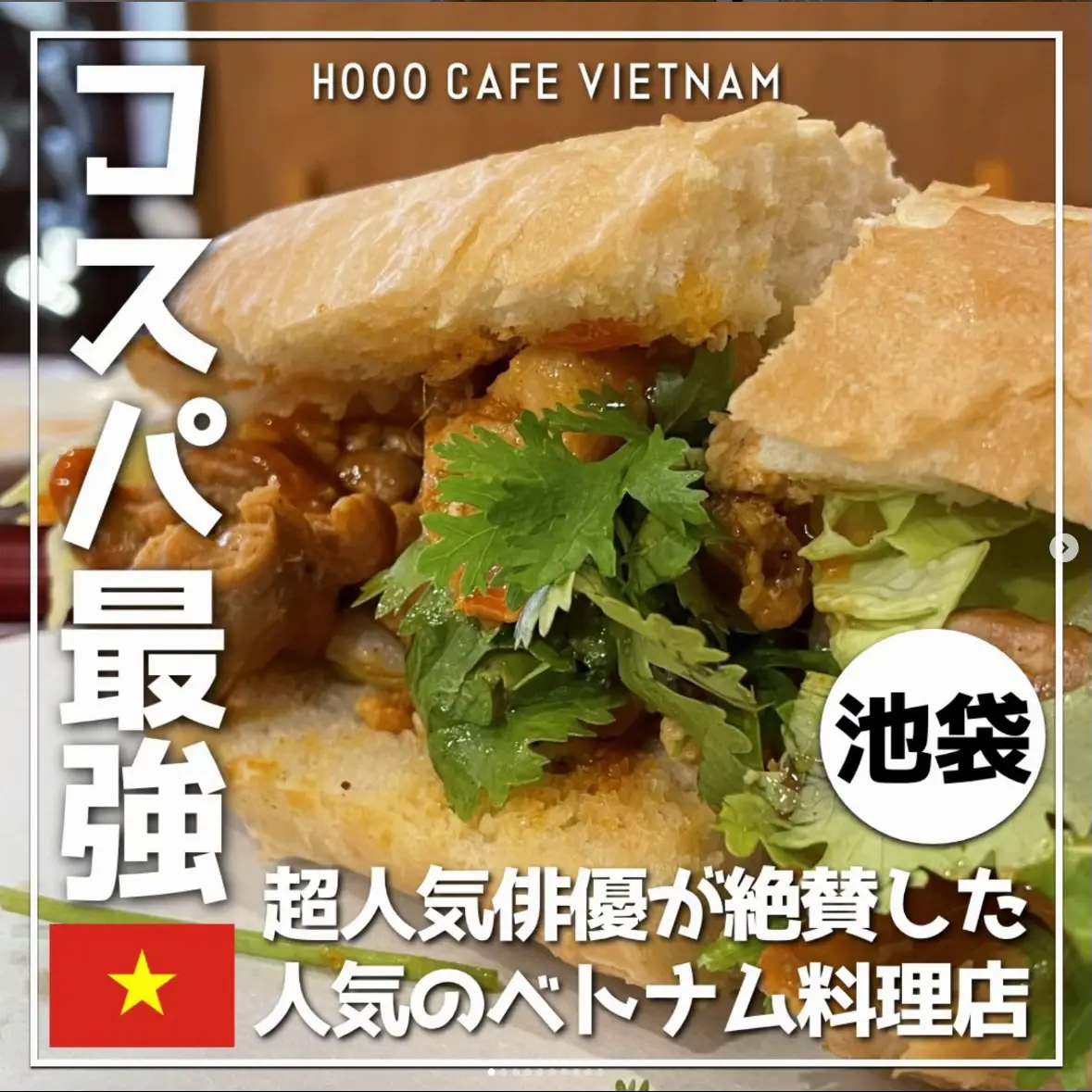 ベトナム 料理 佳い VIANCO ベトナム料理 カレー カレーパウダー (VIANCO)100g インド インスタント レトルト