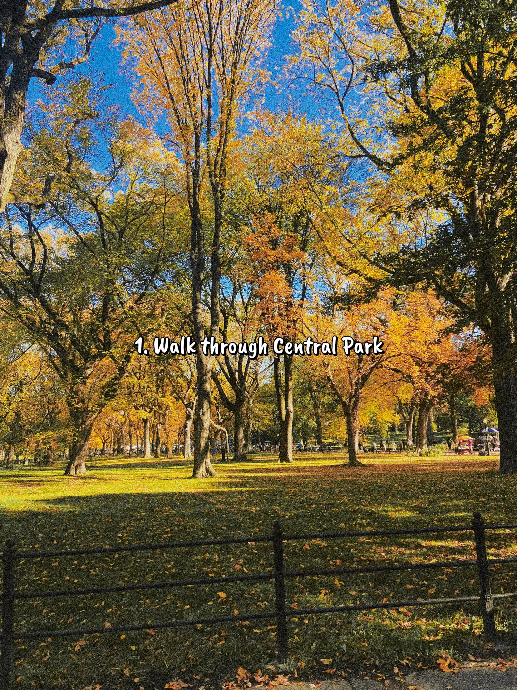  A field of trees with a sign that says "walk through Central Park".