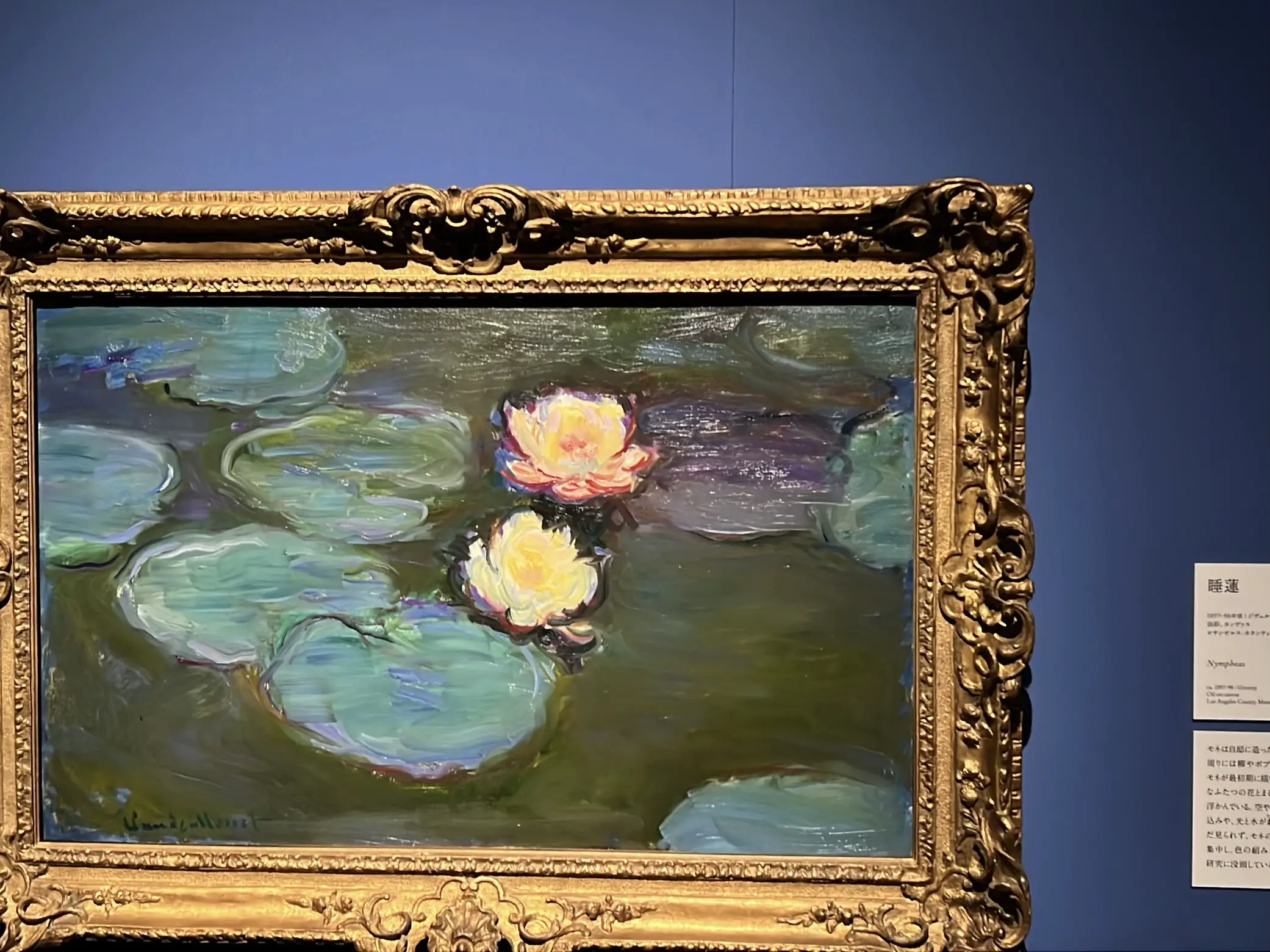 油絵 専用 神秘的な睡蓮池 大キャンバス 油絵 専用 神秘的な睡蓮池 大 油絵 専用 神秘的な睡蓮池 大キャンバス 油絵 専用 神秘的な睡蓮池 大