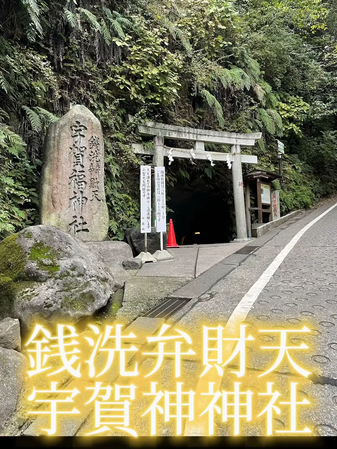 ご利益ありすぎ⁉︎】銭洗弁財天宇賀神神社 | ほしのはな|お金をかけない趣味の投稿動画 | Lemon8