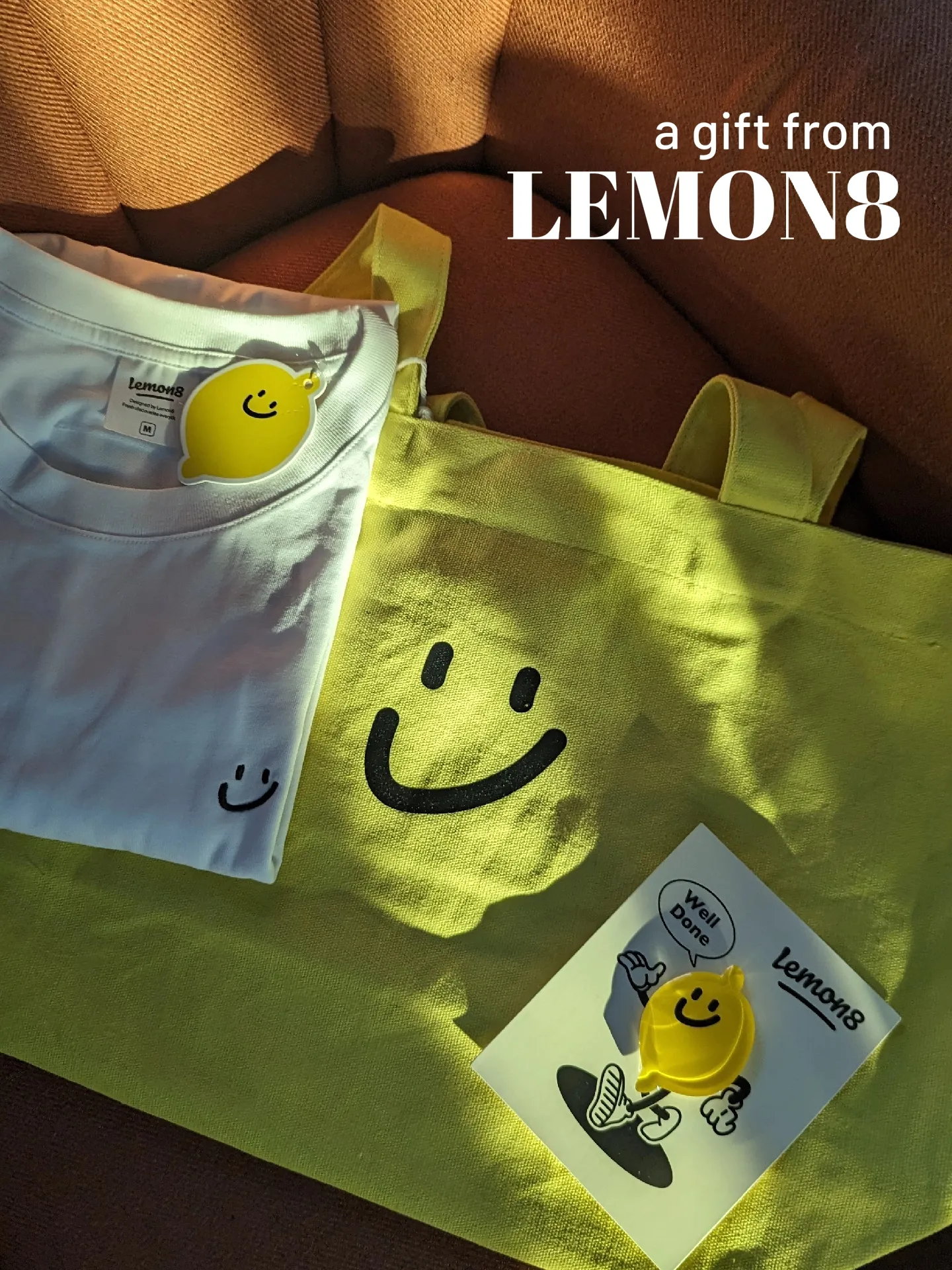 when the Lemon8 team sends you a package (!!)'s images