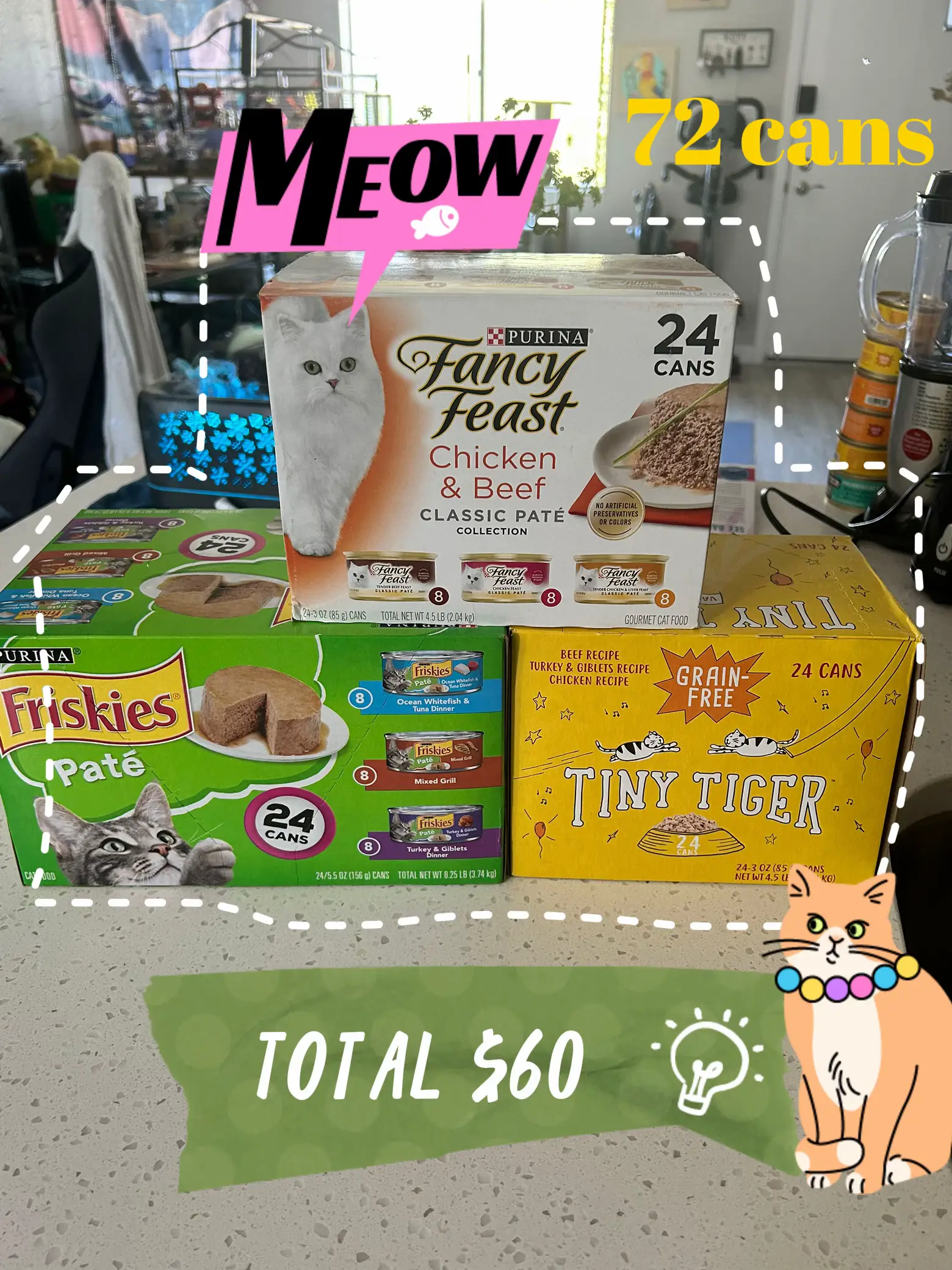 Made by Nacho Sustainably-Caught Salmon, Whitefish & Pumpkin Recipe with Freeze-Dried Raw Chicken Liver Dry Cat Food, 10 lbs.