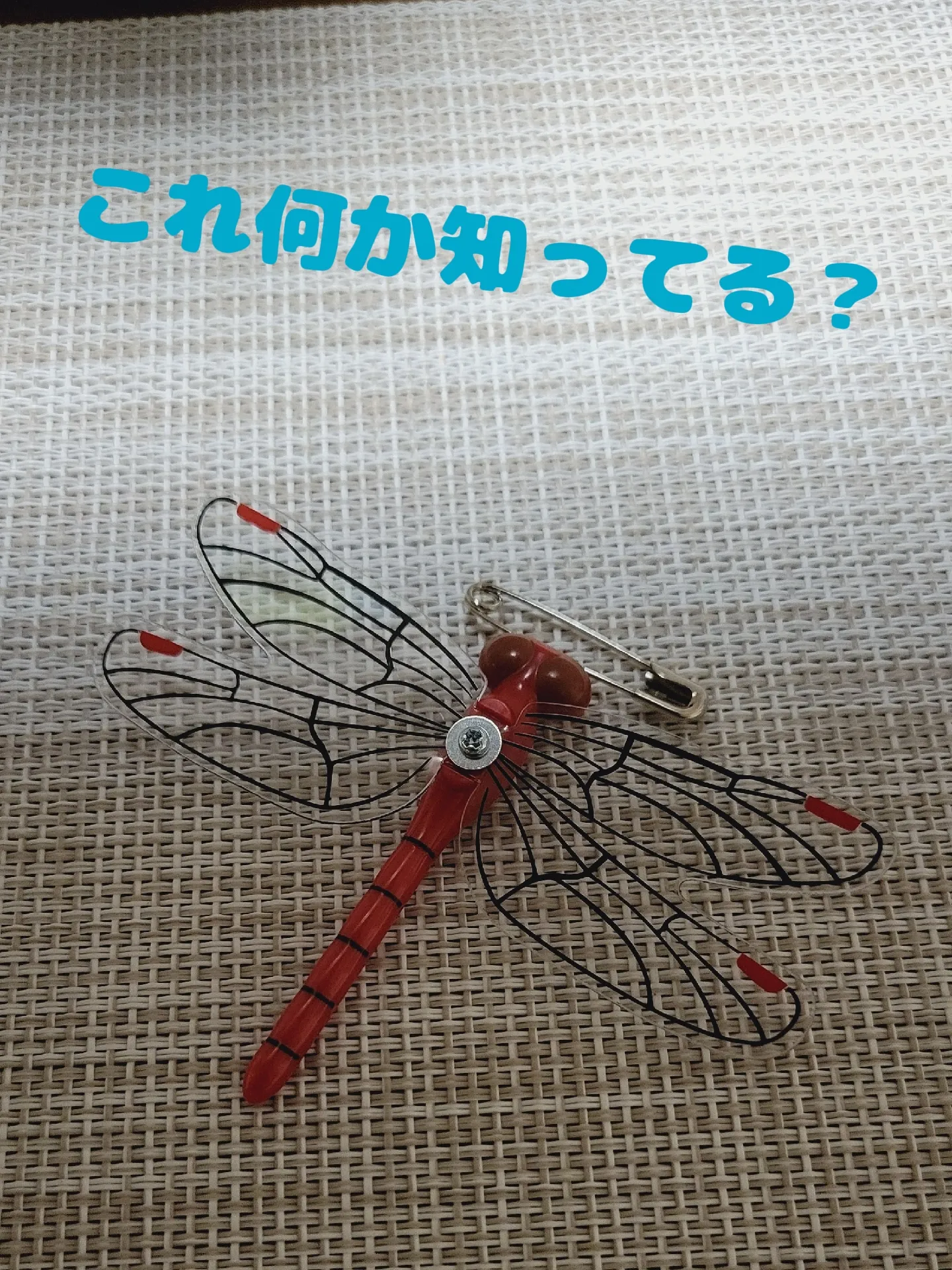 陸上部　ユウキ　無臭 早稲田合格に導く最強勉強アイテムとテクニック