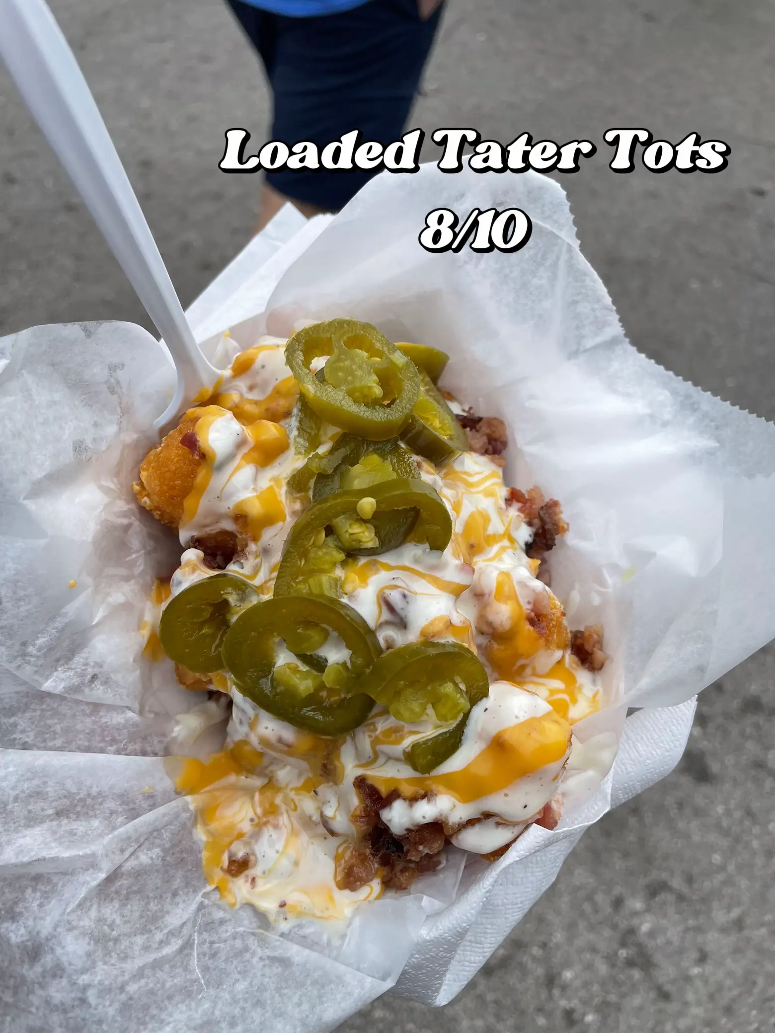 South Florida Fair Food Review Gallery posted by Daneika Lemon8