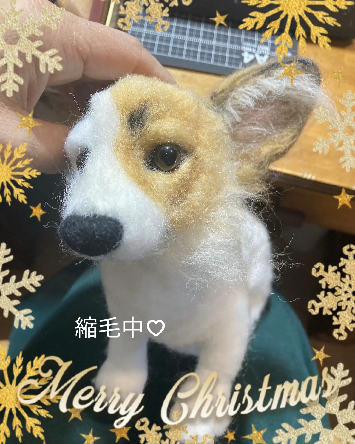 コーギーさん✿参考画像✿羊毛フェルト