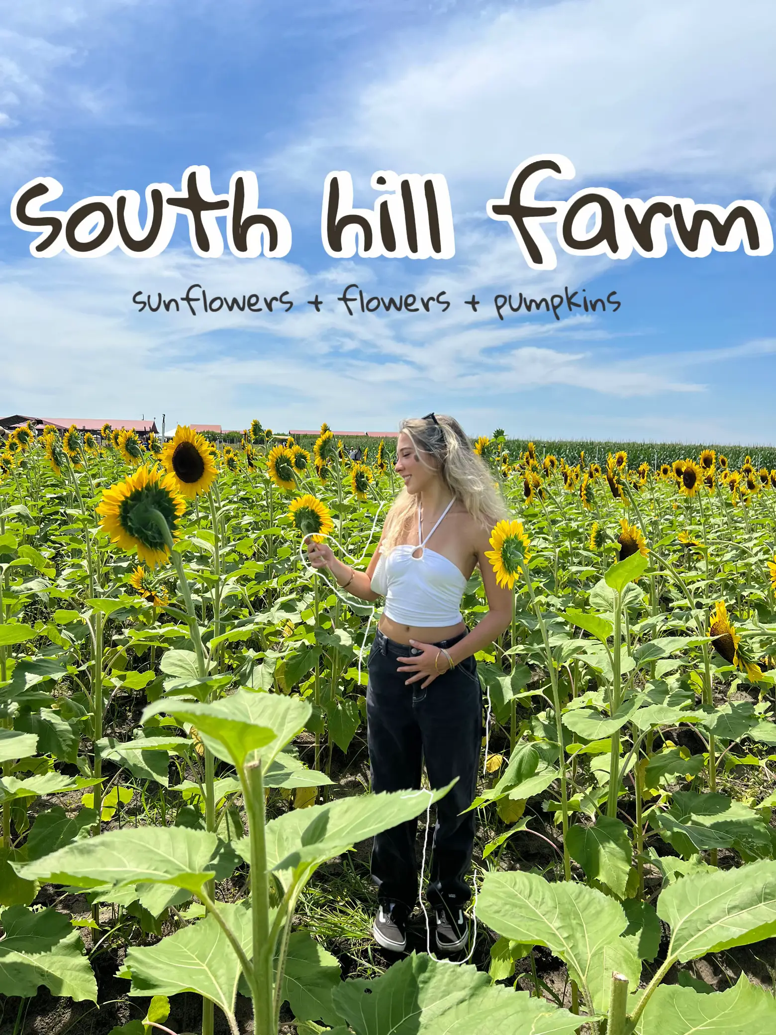 South Hill Farm A Fall Wonderland Gallery posted by Gigi prezia Lemon8