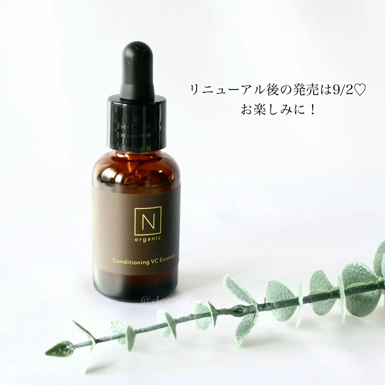 Nオーガニック N 色っぽく organic ポーチ ベージュ ノベルティ