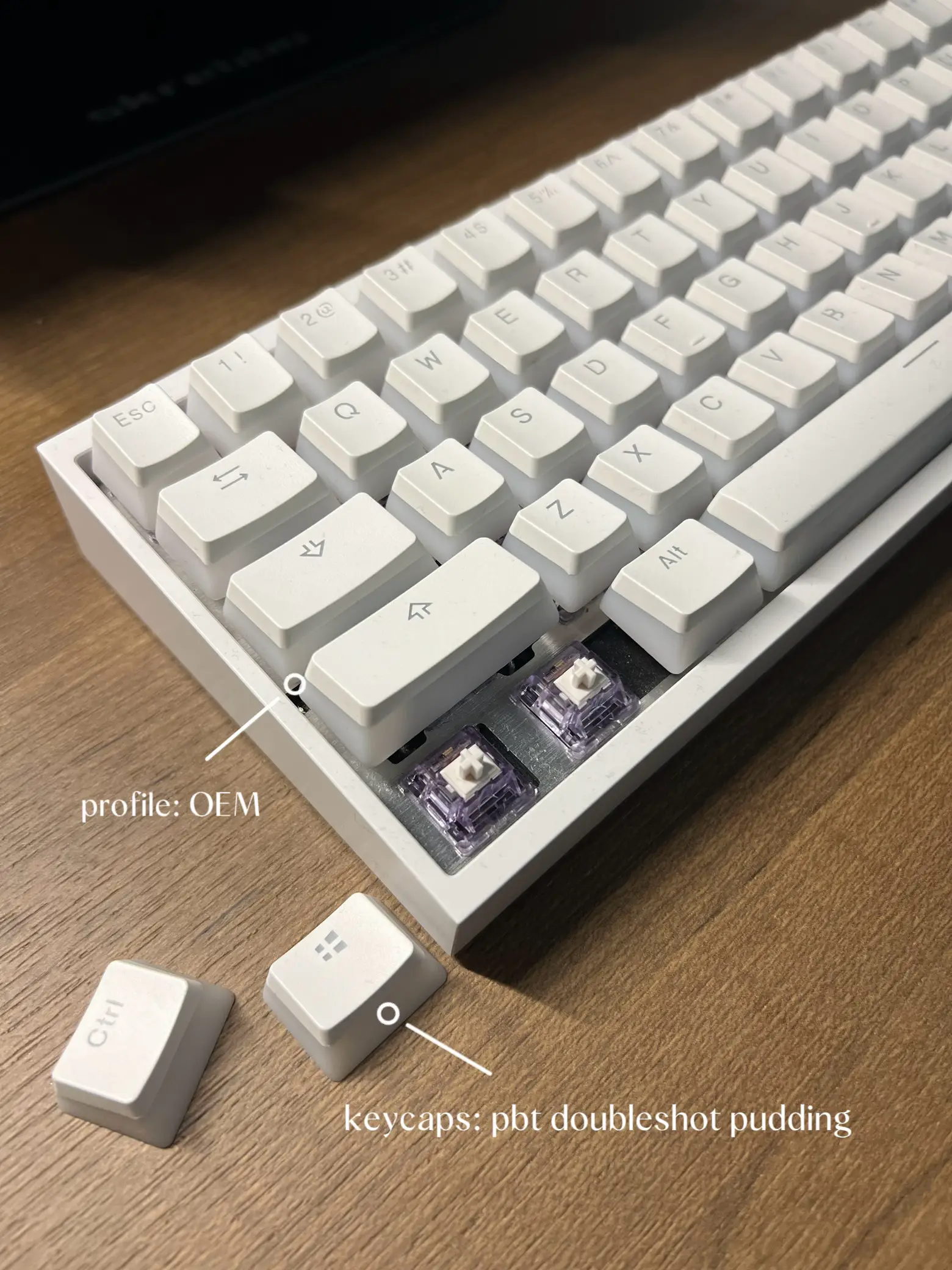 MY MECHANICAL KEYBOARD | แกลเลอรีที่โพสต์โดย selina jiang | Lemon8
