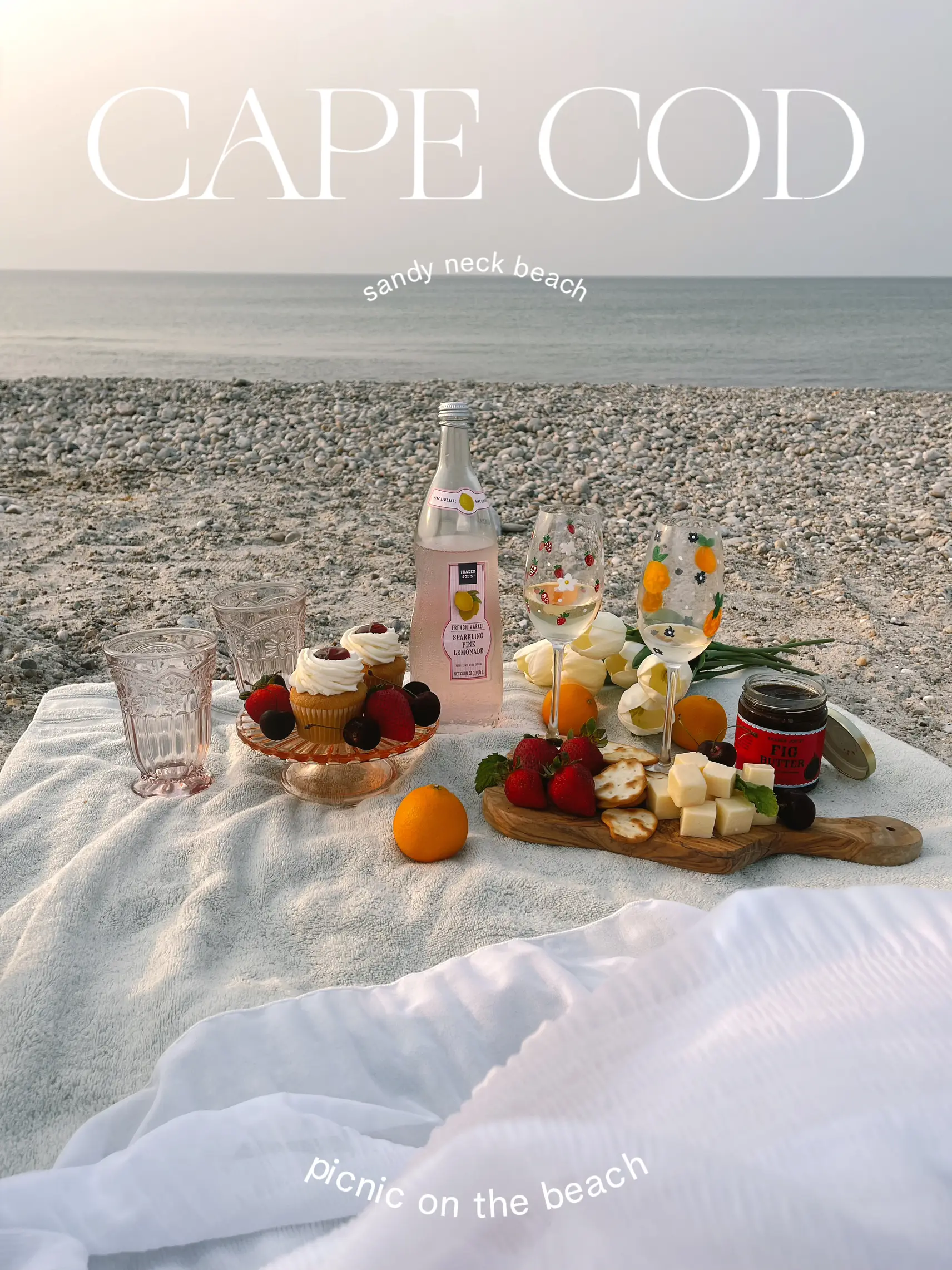 pinterest beach picnic must haves in cape cod 🐚🌊🍋's images(0)