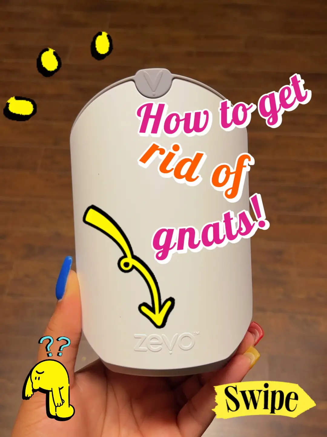 Use THIS to get rid of those pesty SUMMER GNATS 🤬 Gallery posted by