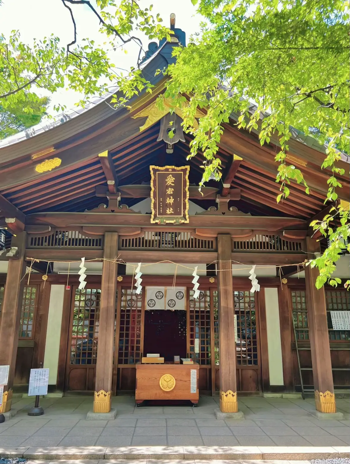 東京】出会えたらラッキーな猫ちゃんに会いに行こう🐈🍀金運アップな愛宕神社⛩ | chim🫧‪コスパ旅が投稿したフォトブック | Lemon8‬