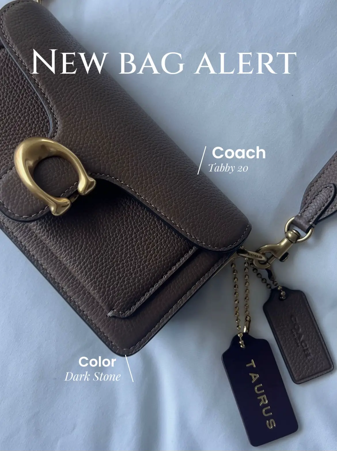 COACH SLING BEG VIRAL🔥, Luxury, Bags & Wallets on Carousell
