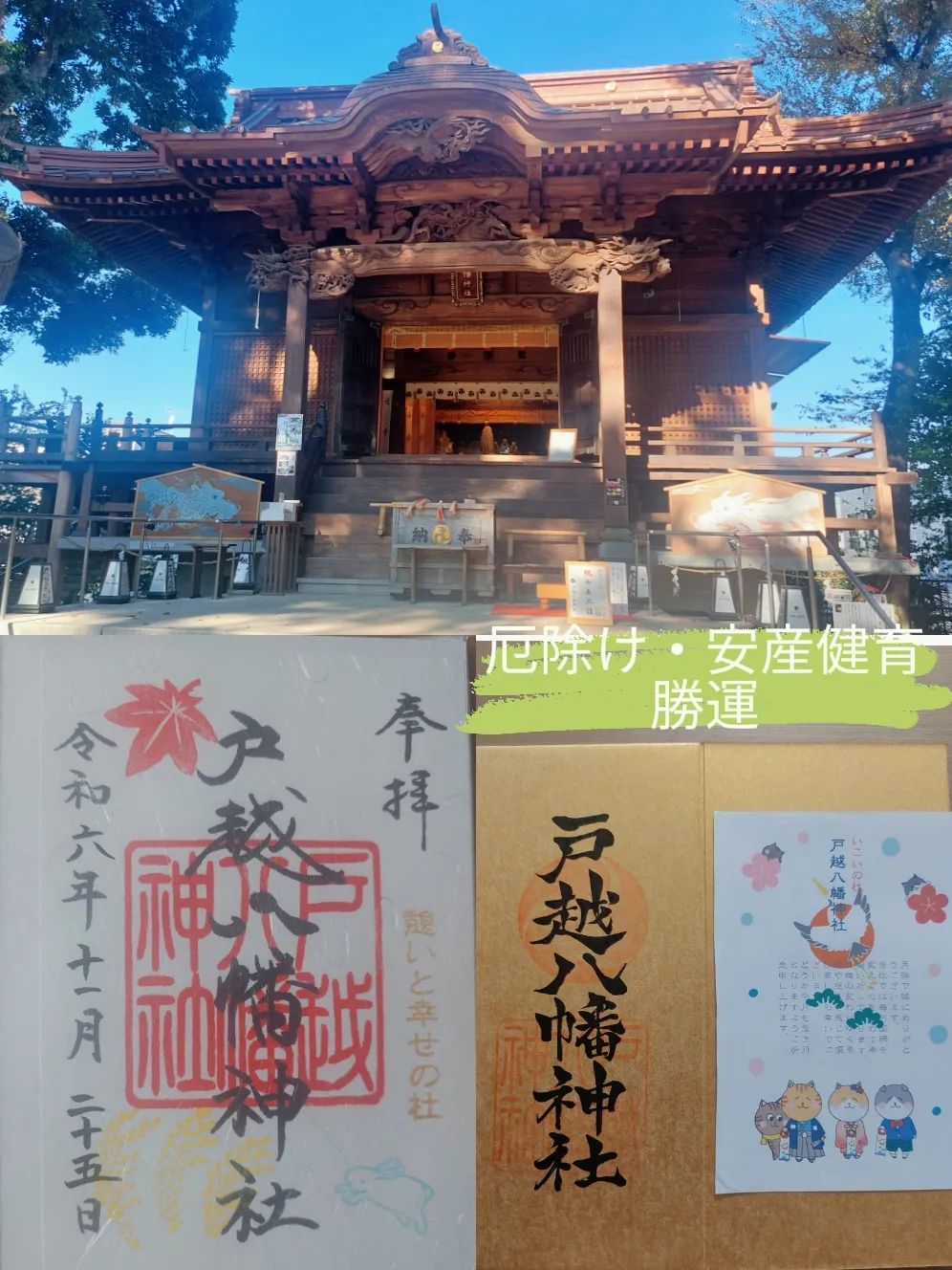 戸越の八幡さま?福めぐり?動物にも好かれる神社 | ⭐k-soufu358⭐が 