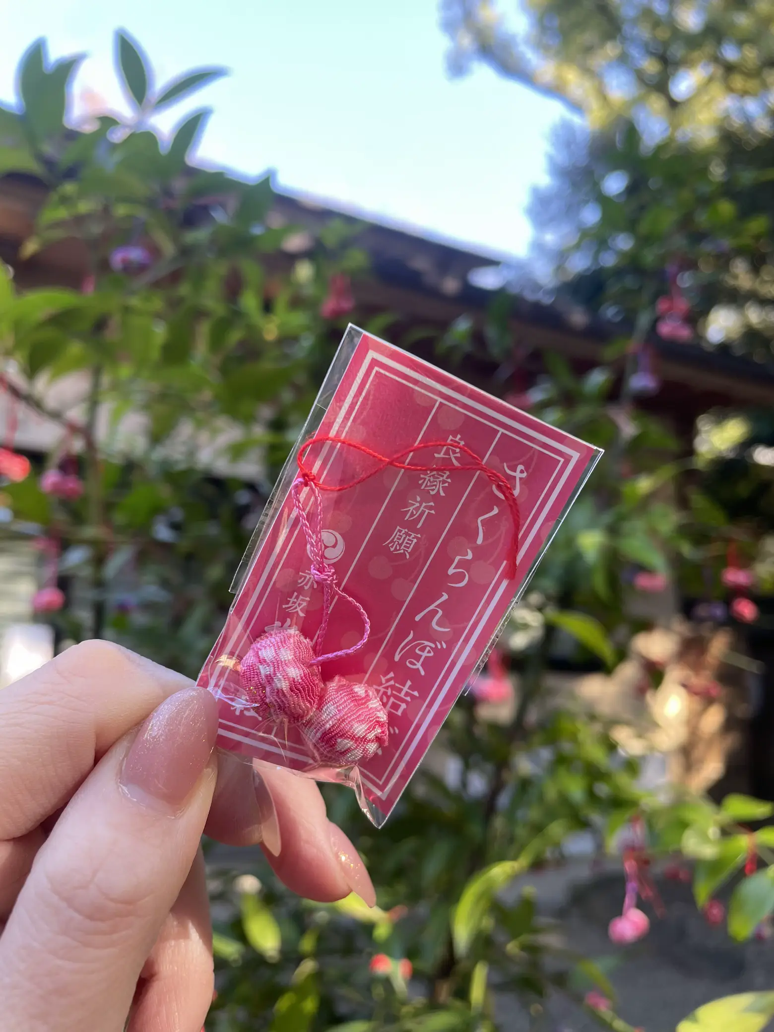 ★蛇雄　「さくらんぼ日記」★ ☆蛇雄「さくらんぼ日記」 蛇雄 「さくらんぼ日記」☆