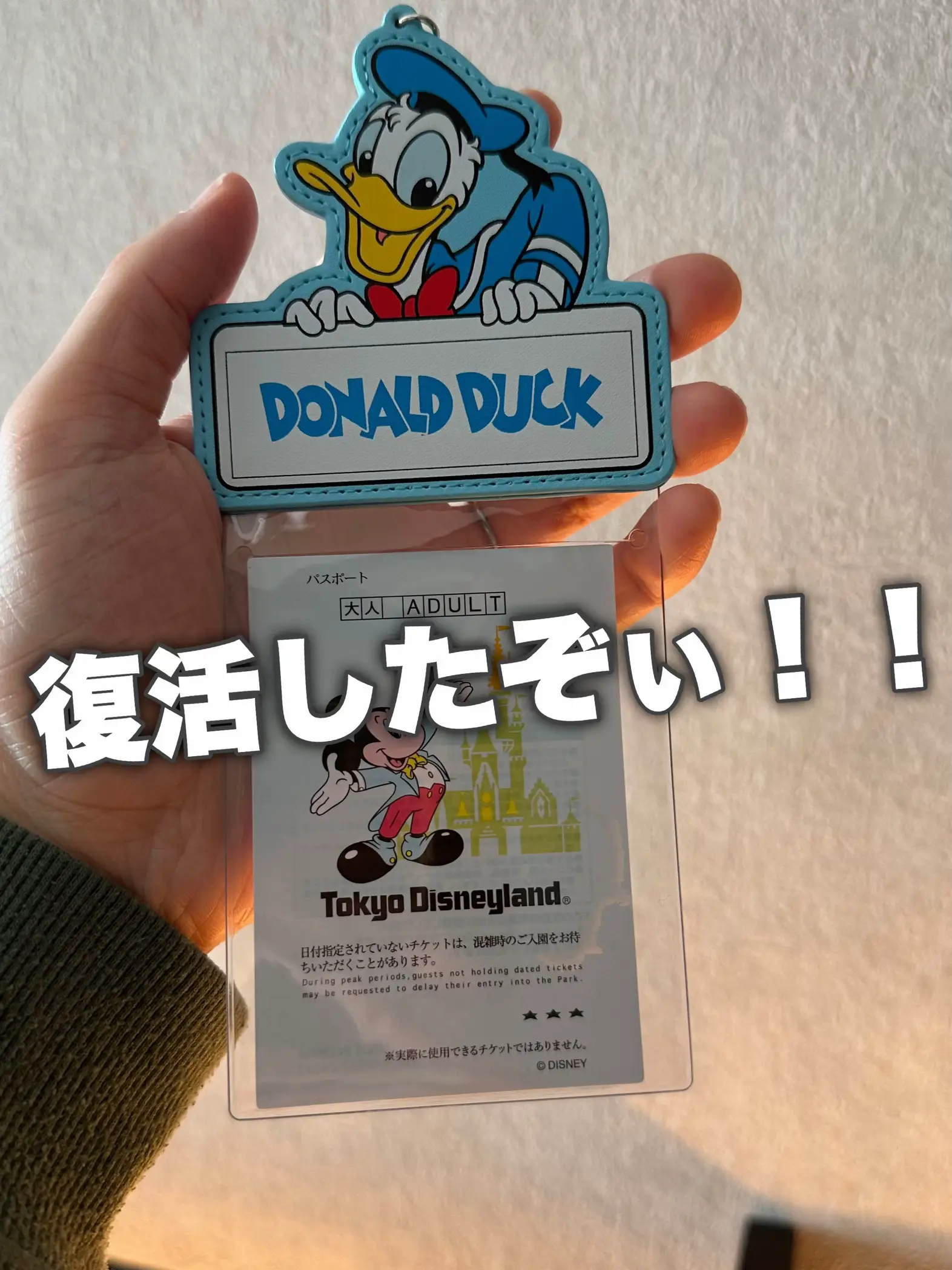 再販】ディズニーの刻印カードホルダー（ミッキー/ミニー/ドナルド 