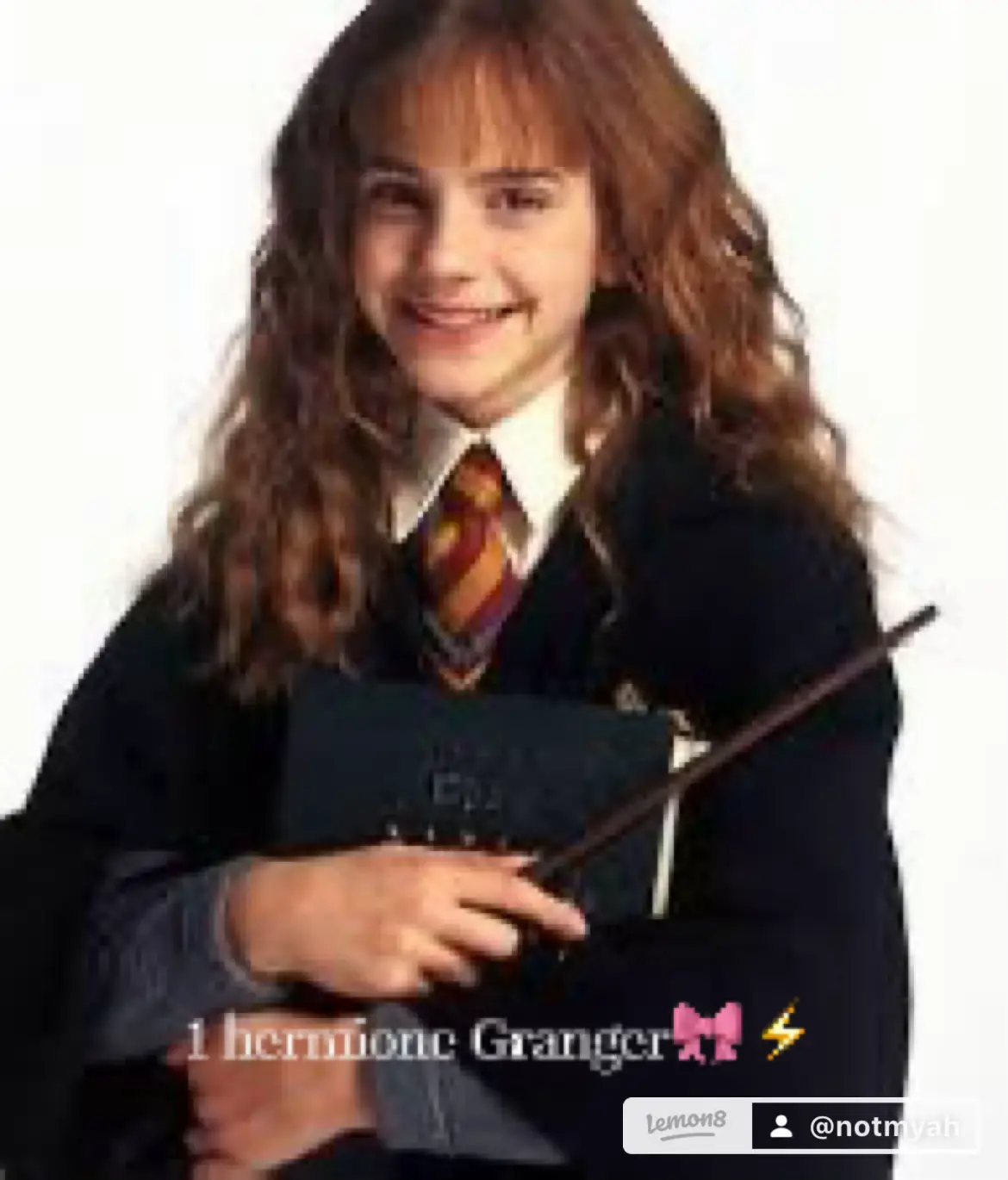 Hermione Grangers Influence in Harry Potter World Lemon8 Search