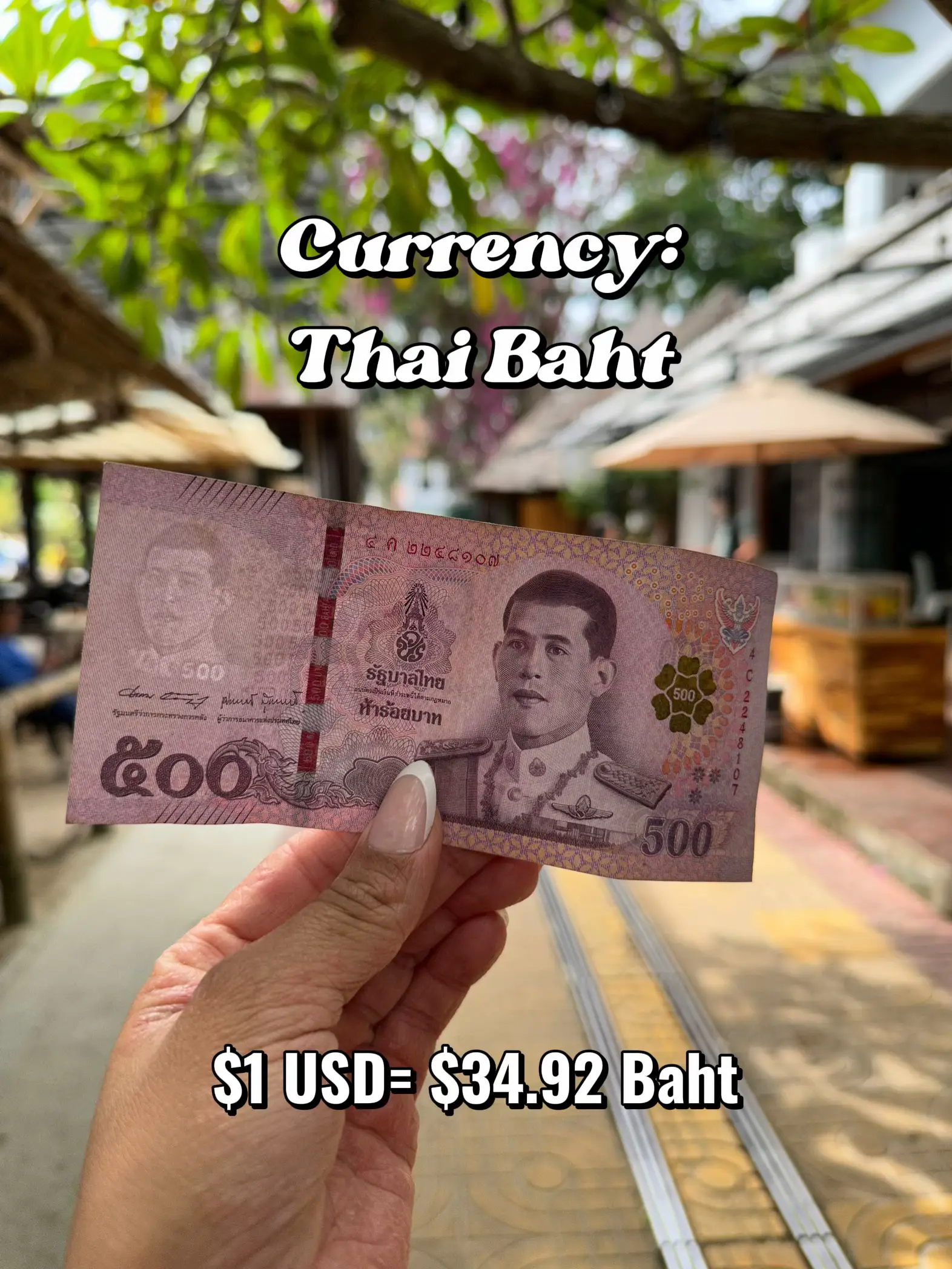  A person is holding a Thai Baht 500 dollar bill.