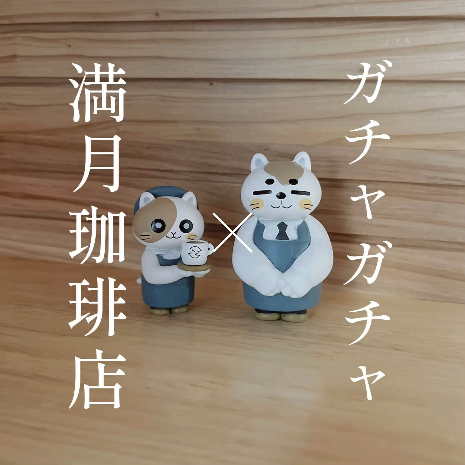 【35％OFF】 星屑集め部隊☆ハチワレさん ひらき 羊毛フェルト