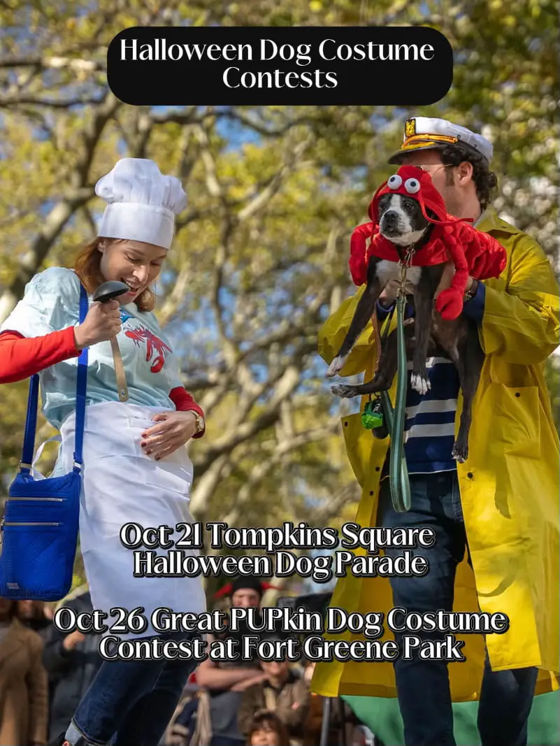 Free Stuff to do in NYC in October Gallery posted by Brooklyn Guide