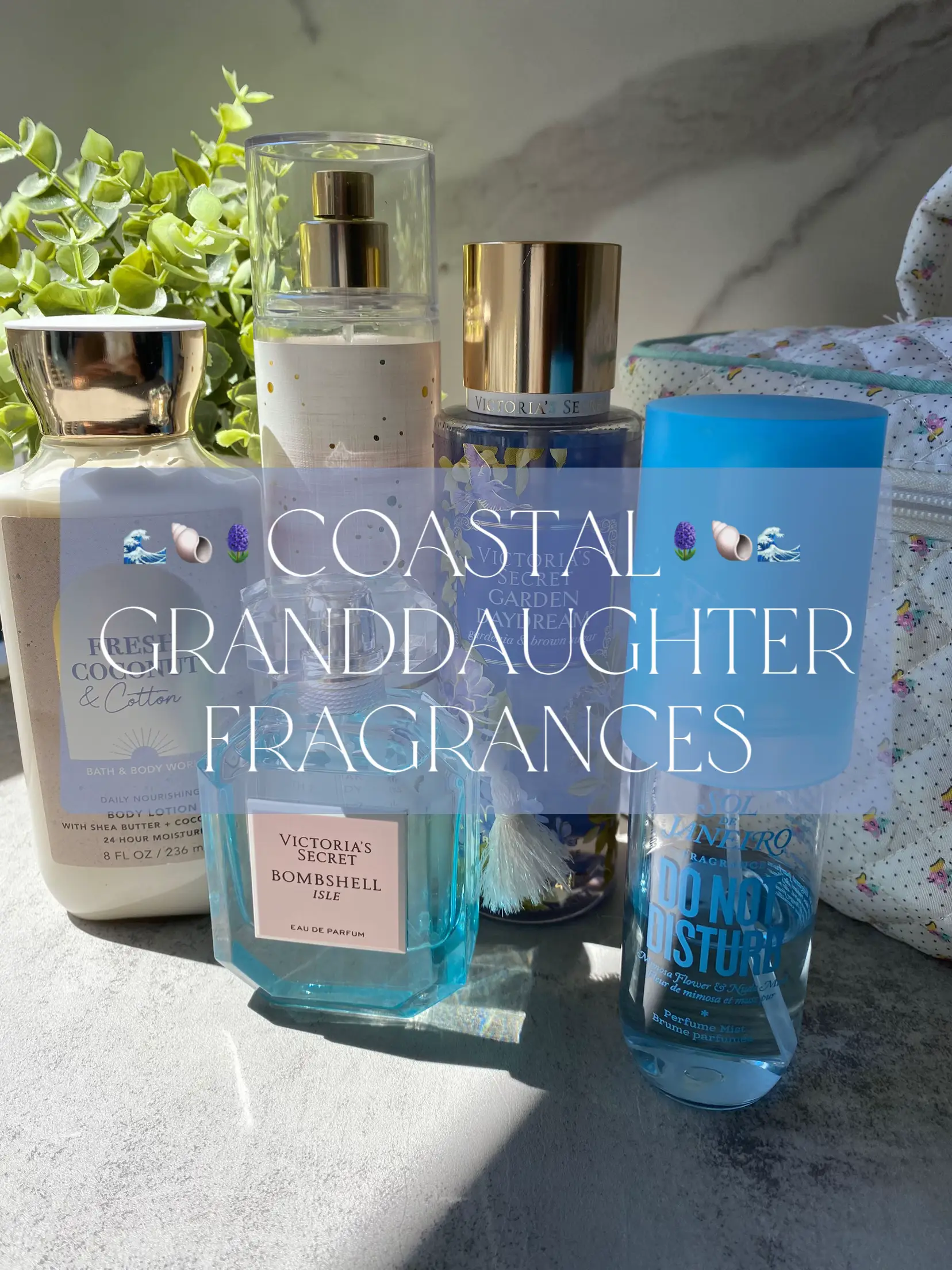Coastal granddaughter fragrances 🌊🐚's images