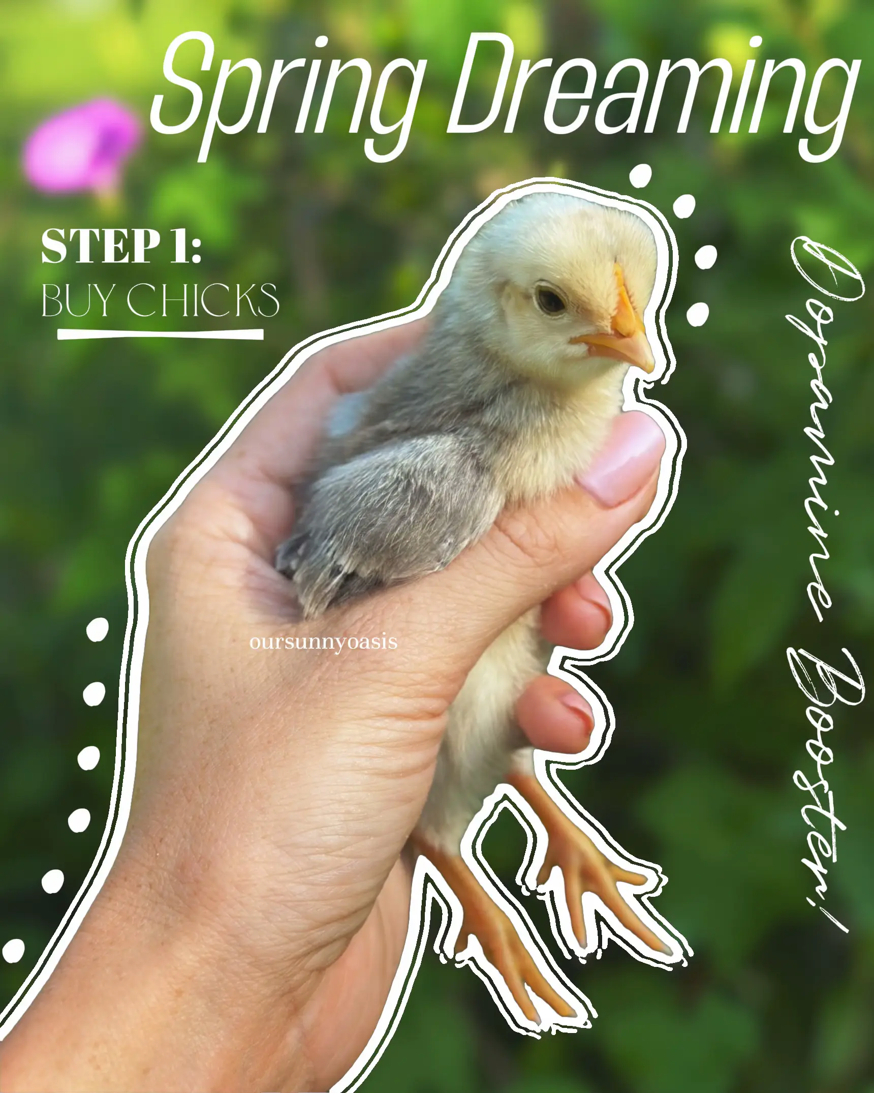 Spring Dreaming | Gallery posted by Ally | Lemon8