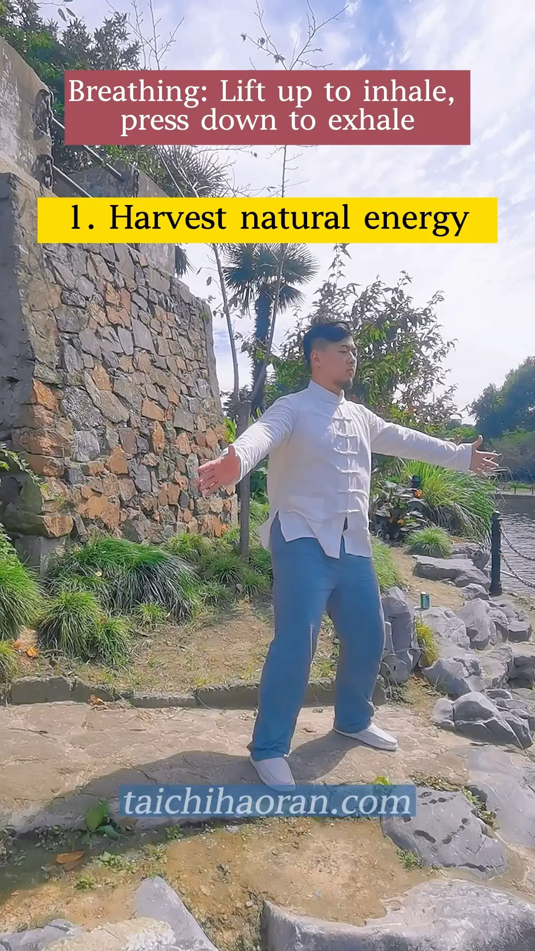 Breathing-taichi healthy | Video published by Taichi Haoran | Lemon8