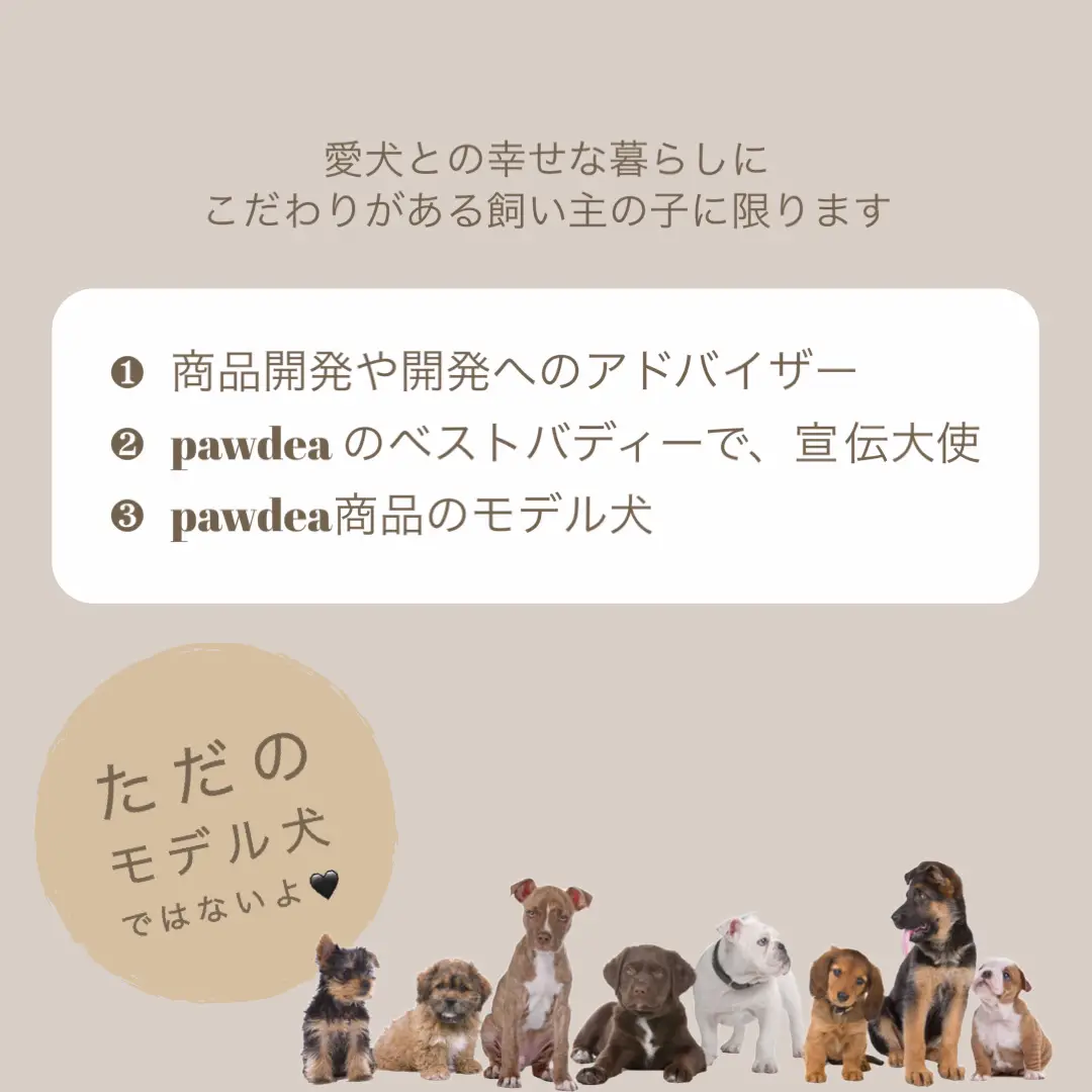 わんちゃんのアンバサダー募集中🐾   | pawdea🐾ポーディーが投稿した