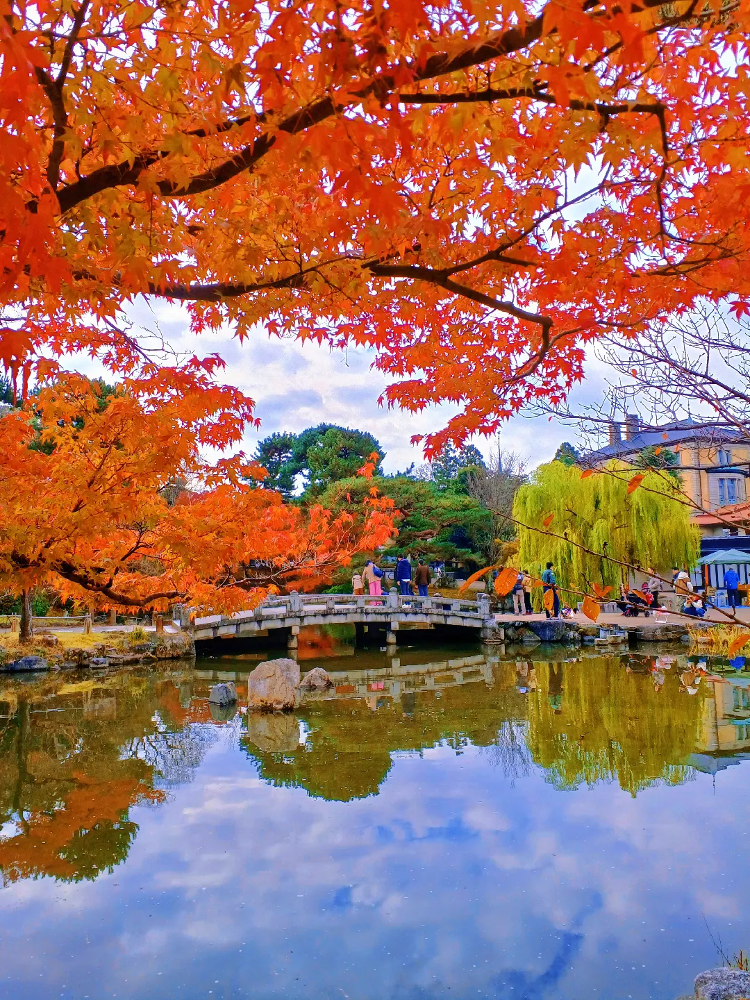 【京都ぶらり】2023京都紅葉 桜の名所円山公園は紅葉も美しいの画像 (1枚目)