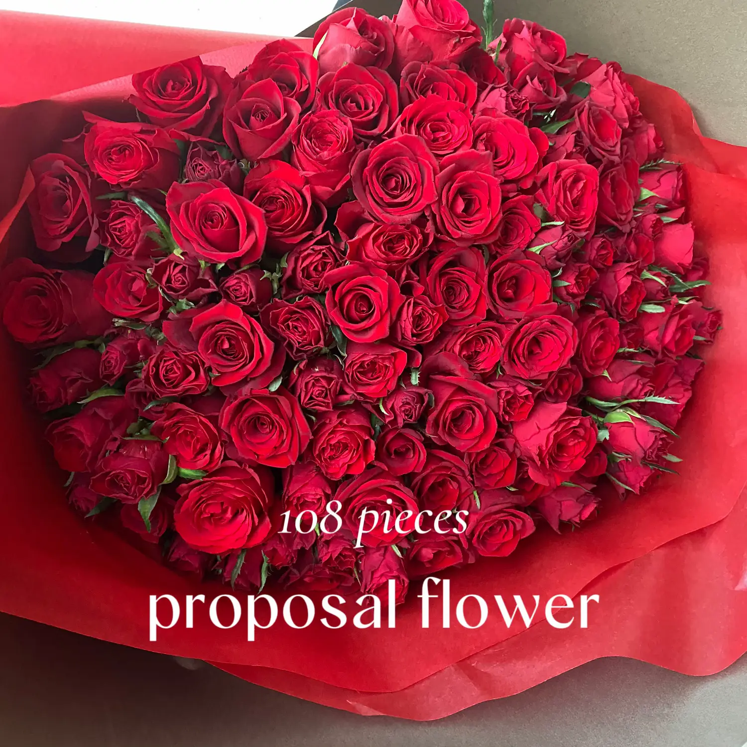プロポーズ108本薔薇 花束 ピンク ブライダル ウェディング ローズ プロポーズに贈るバラの花束108本｜100本～本数選択可能メッセージプリザ