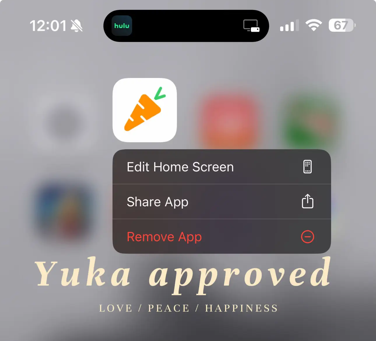 Yuka approved | Gallery posted by Hailey Ann | Lemon8