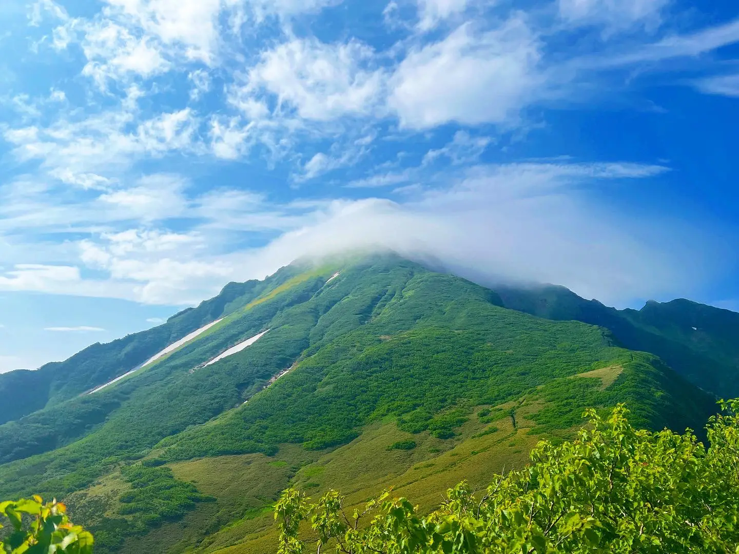 海に浮かぶ山、利尻山で花畑と雲海を楽しむ | aryuaryuが投稿した