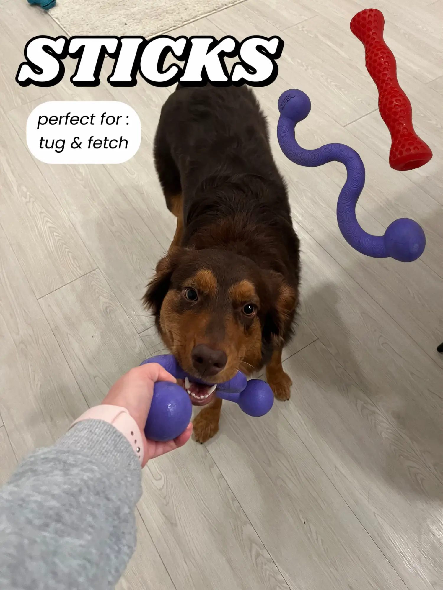 Wfh hack: keep your dog entertained and engaged with The Game #dogtoys