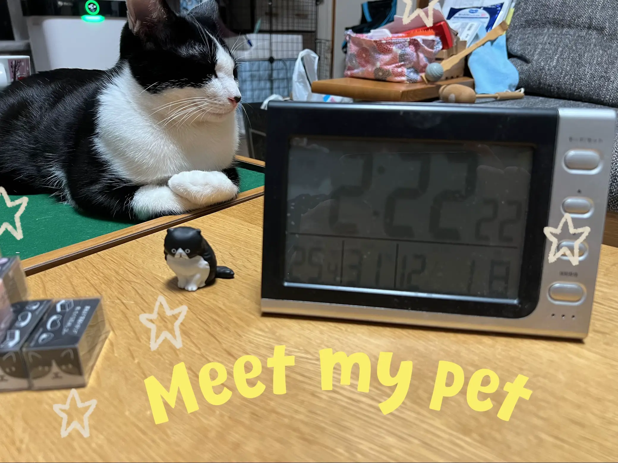 ㊗️12月1日朝にゃ〜✨ | めかぶが投稿したフォトブック | Lemon8 