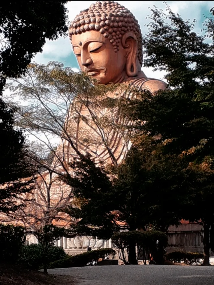 階段上から、こんにちは。]の写真の投稿は、大仏様は小さく見えますが、実はデカイです。 | にこやんキッドドライブが投稿したフォトブック | Lemon8