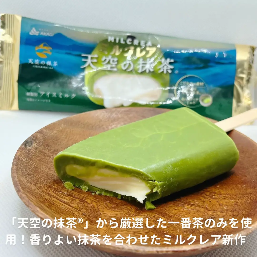 KAIEDA FLAVORS チョコレートミントソフトアイスクリームミックス