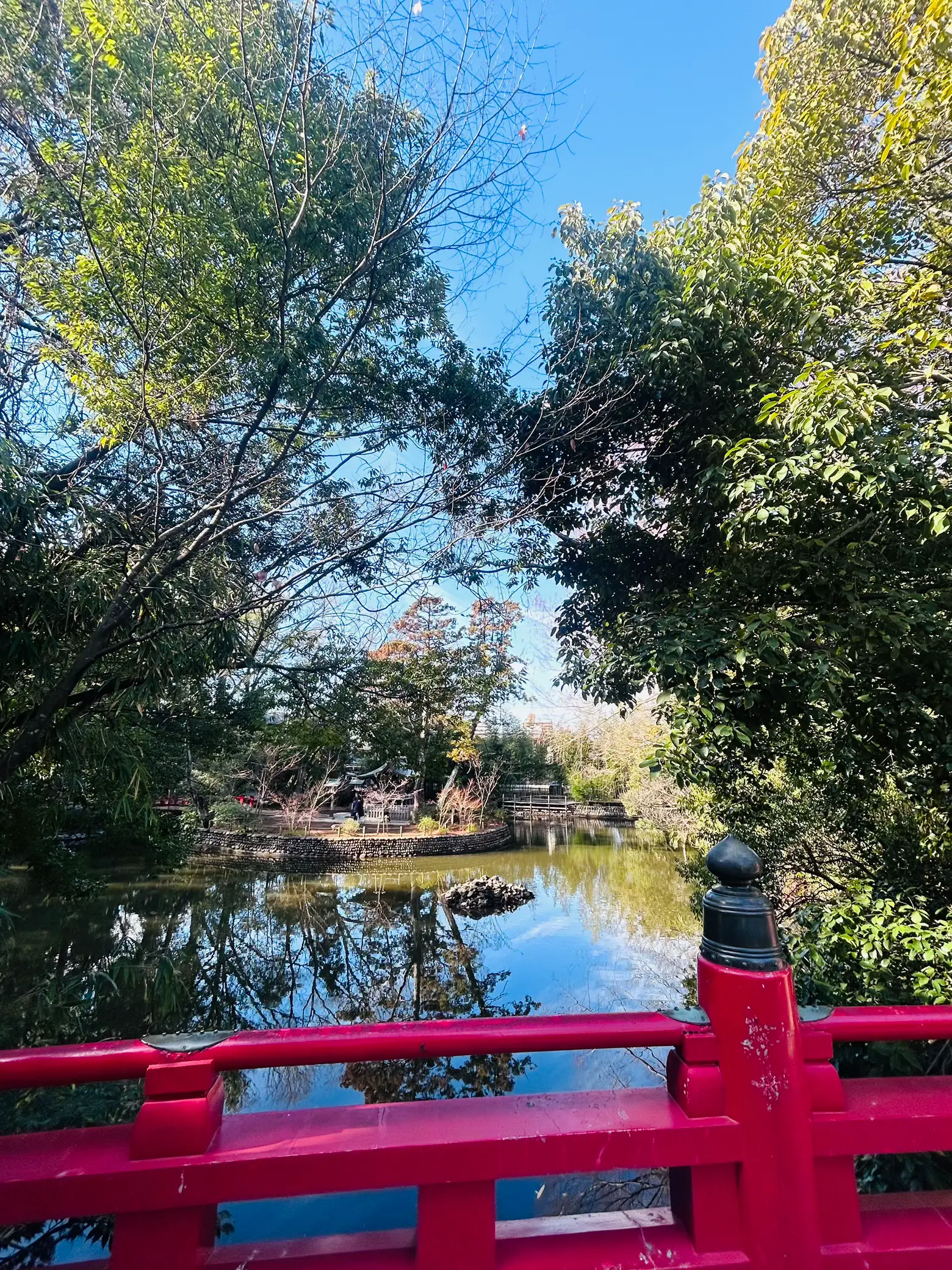 埼玉県 さいたま市 武蔵一宮 氷川神社⛩️ | ＊Lily yumi＊が投稿したフォトブック | Lemon8