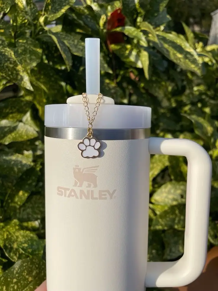 Stanley Cup Accessories Stanley Cup Bling Stanley Cup Jewelry Stanley  Quencher Zodiac Stanley Charm 