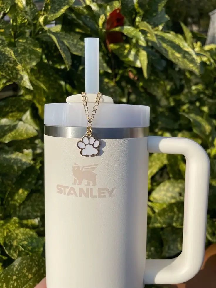 ✨How to decorate your Stanley aesthetically✨, Gallery posted by  ✨Grace🪩Hoy✨