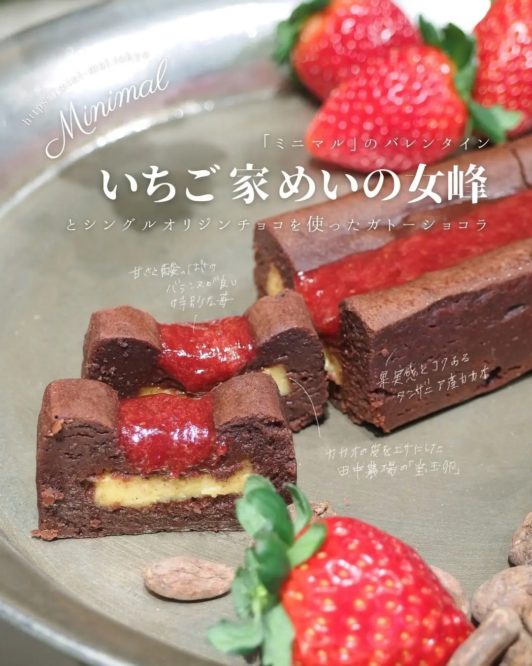 クラフトチョコ専門店の特別な🍓ガトーショコラ | チョコレート大事典