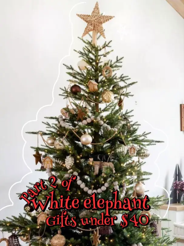 White Elephant Gifts Under $40 from , Gallery posted by Angela