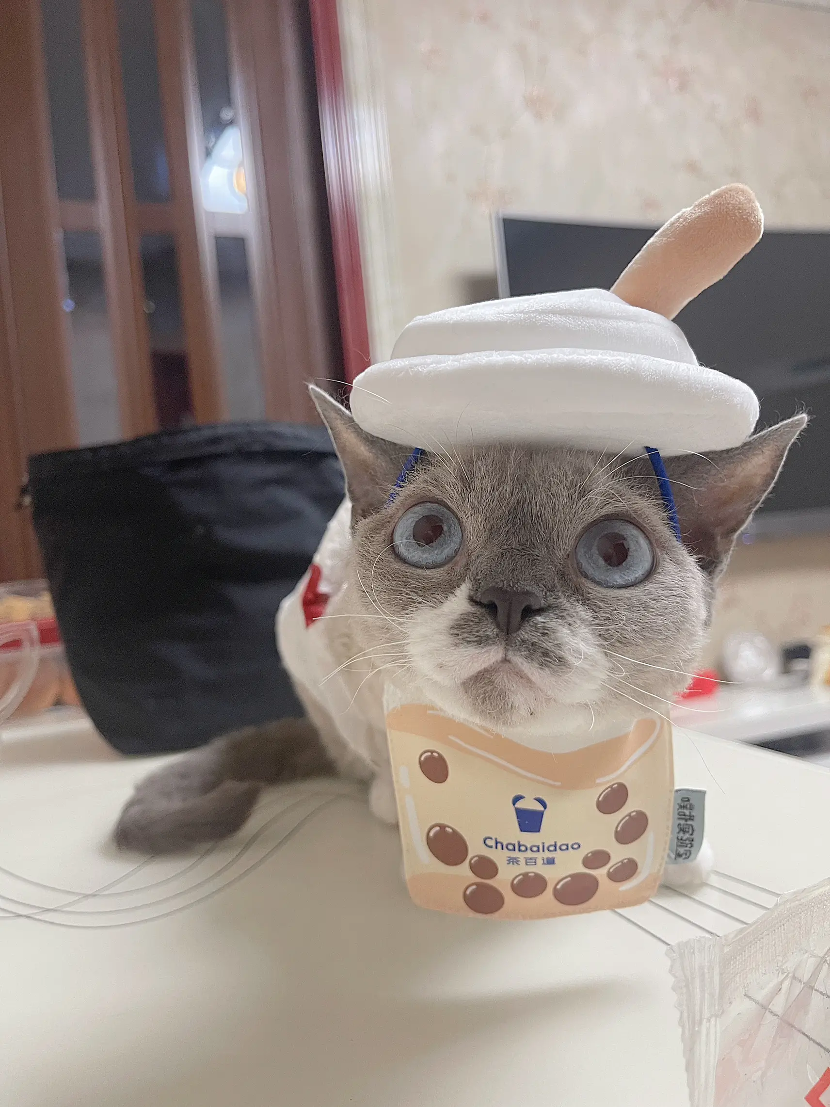 タピオカを一杯いかがですか? | FUFUが投稿したフォトブック | Lemon8