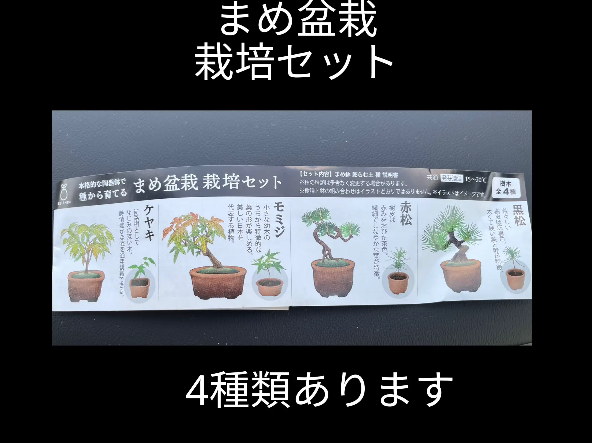 最高 ガチャガチャ カプセルトイ ハーブ 観葉植物全4種 種から育てるミニチュア♡