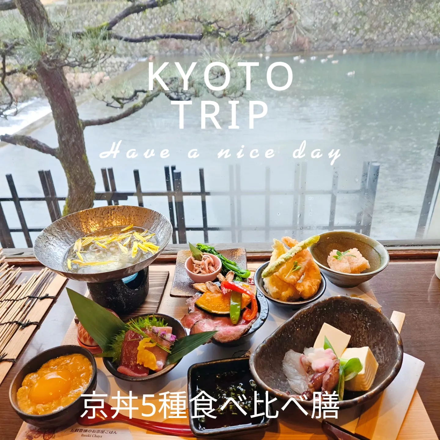 五木茶屋嵐山本店で春限定 京丼5種食べ比べ膳いただきました 映えるし 