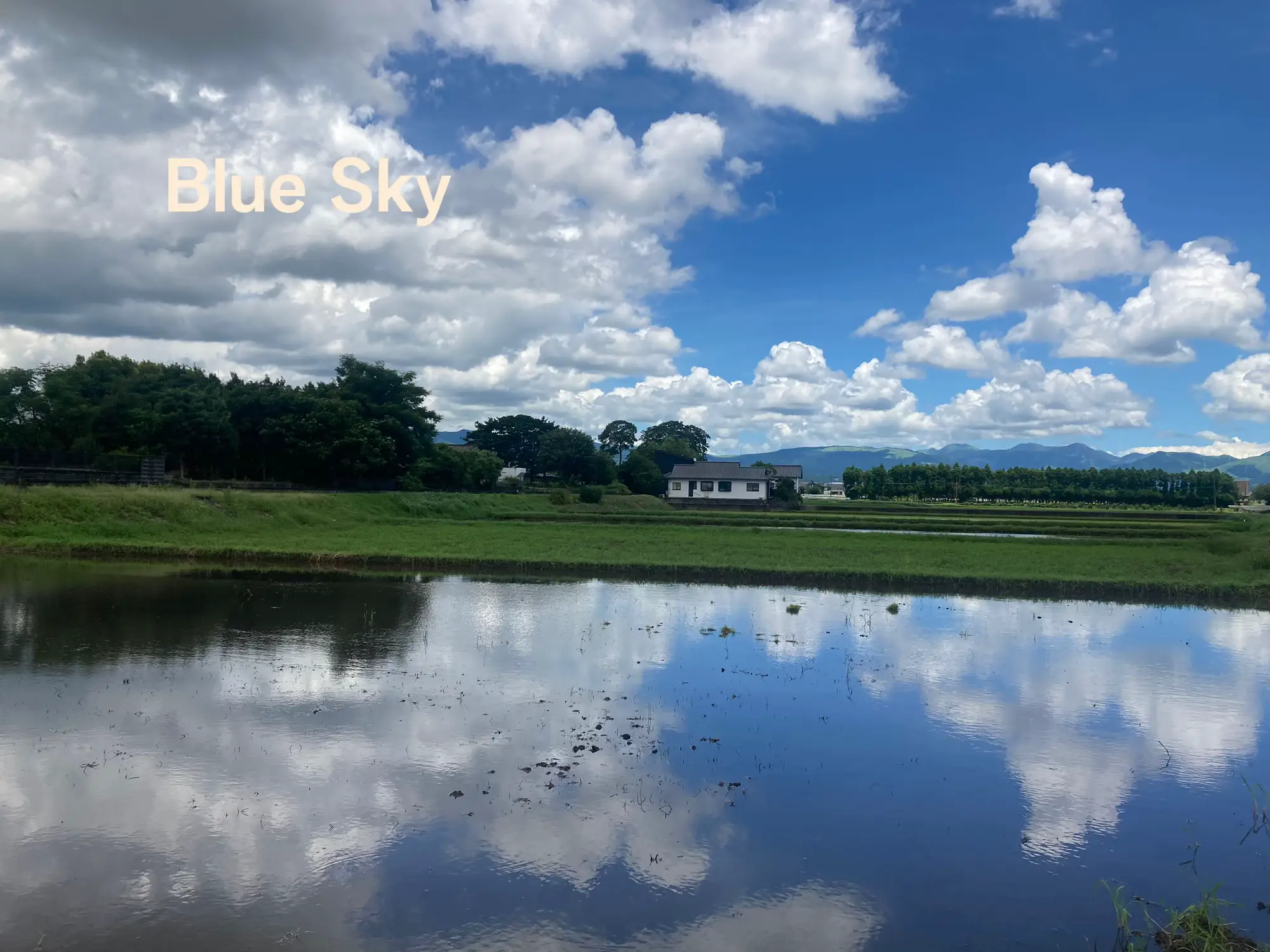 Blue Sky | R4mamaが投稿したフォトブック | Lemon8