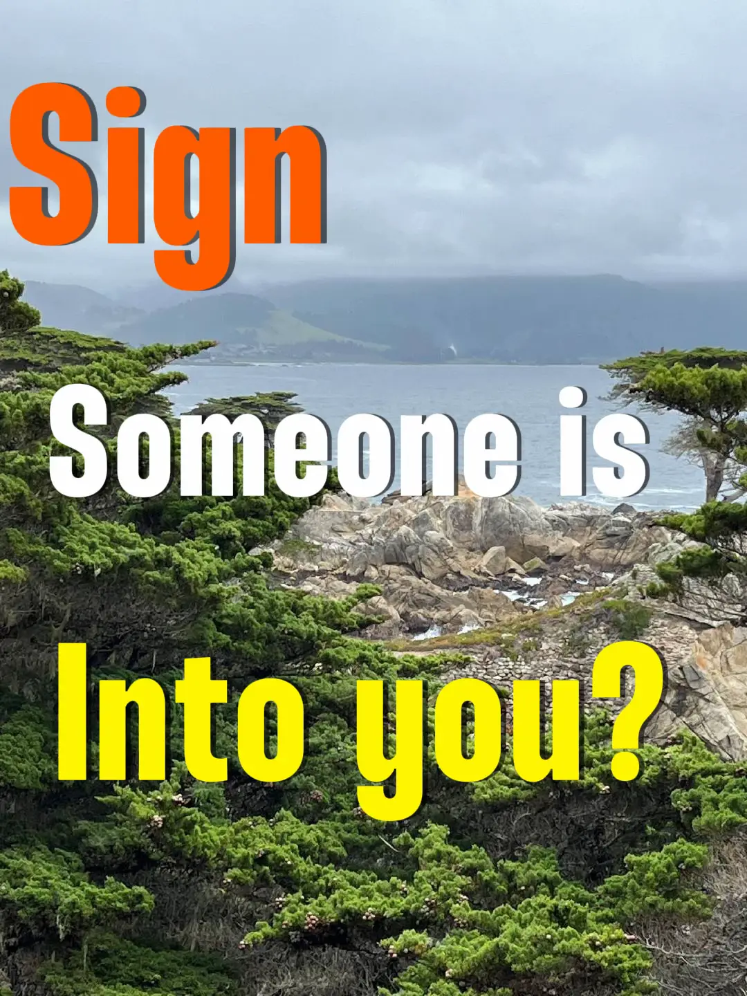 Sign Up - Lemon8 Search